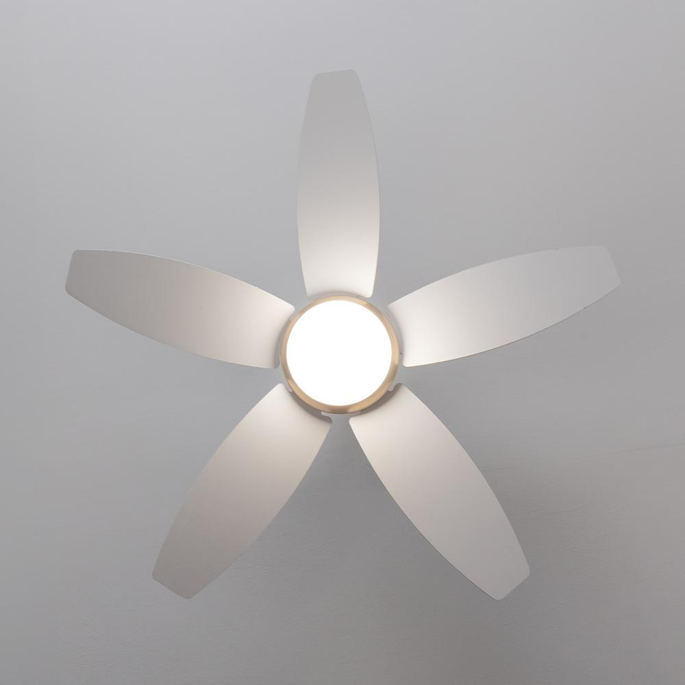 Un ventilador de techo blanco de cinco aspas con luz central en un techo gris claro.