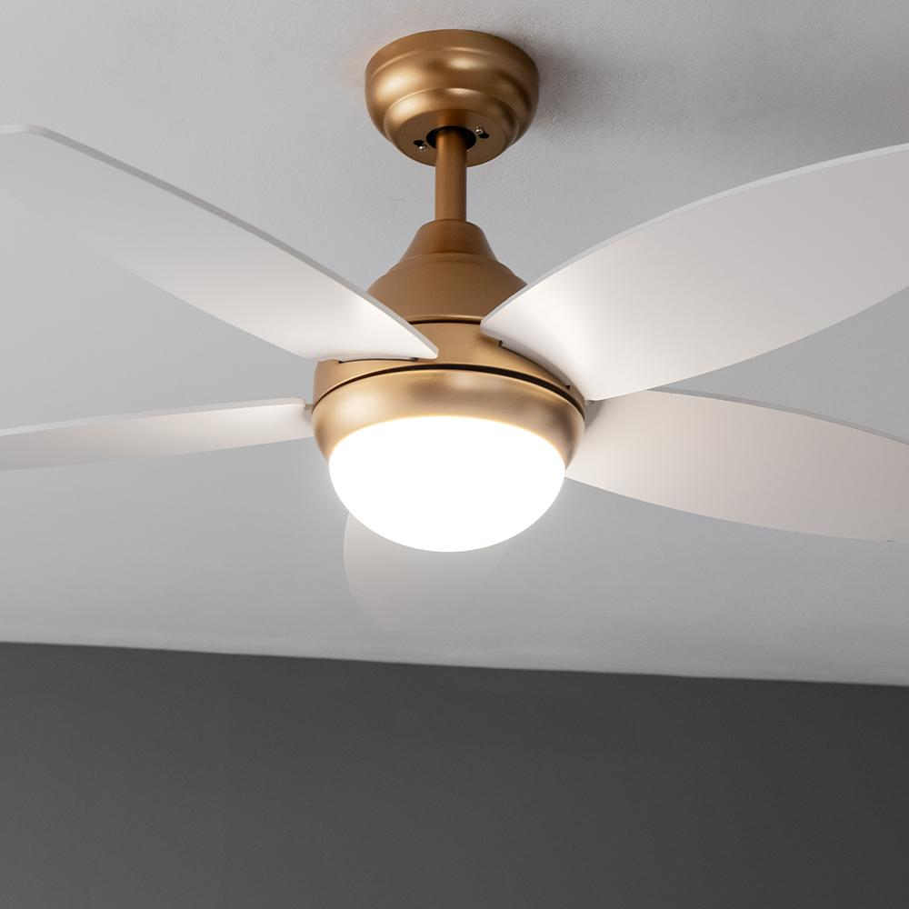 Un ventilador de techo dorado con aspas blancas y una lámpara redonda.