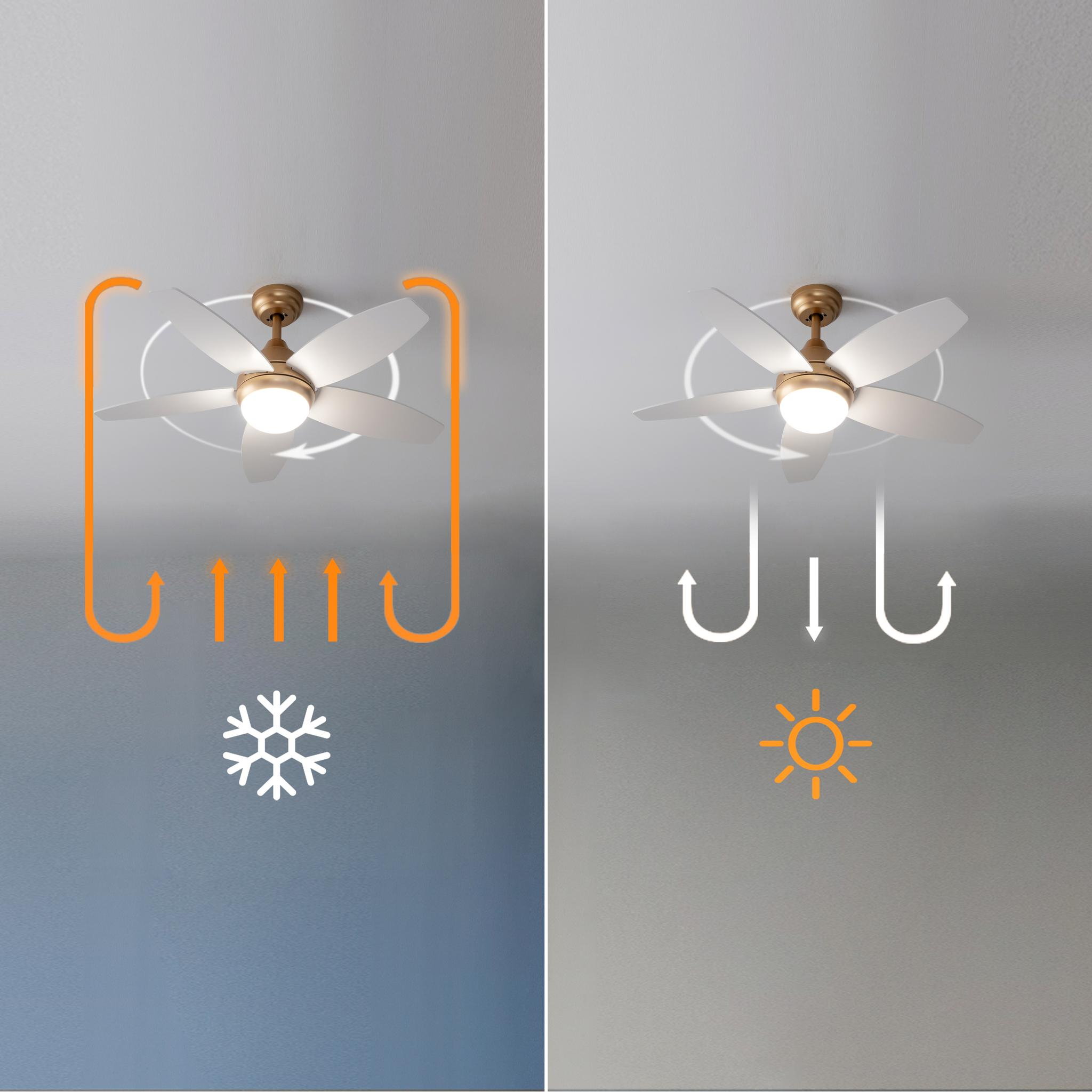 Ventilador de techo con flechas que indican operación invierno/verano.