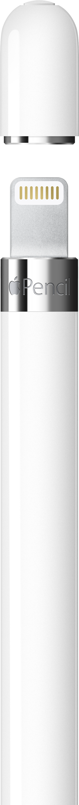 Apple Pencil blanc avec le port de charge visible.