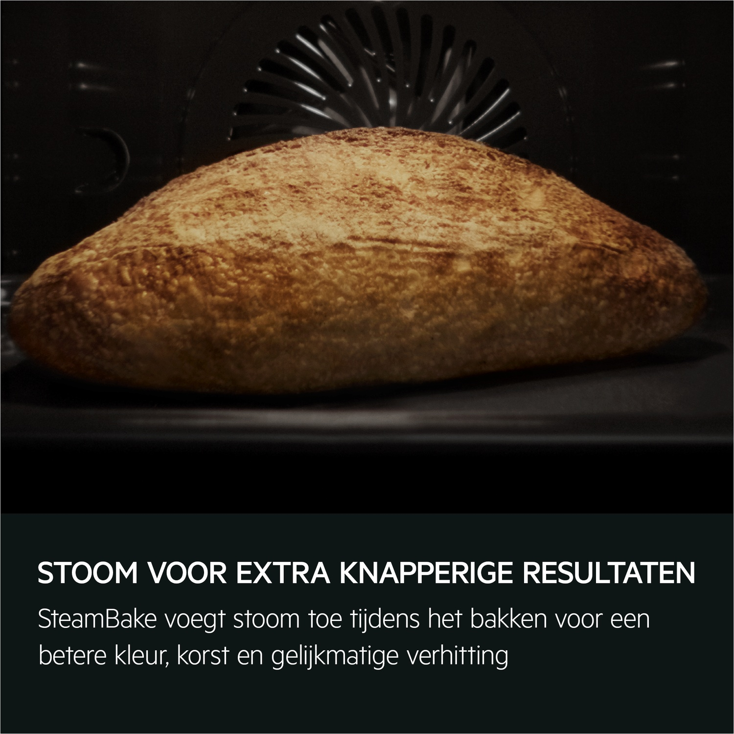 Baked bread in an oven, with text about steam for extra crispy results.