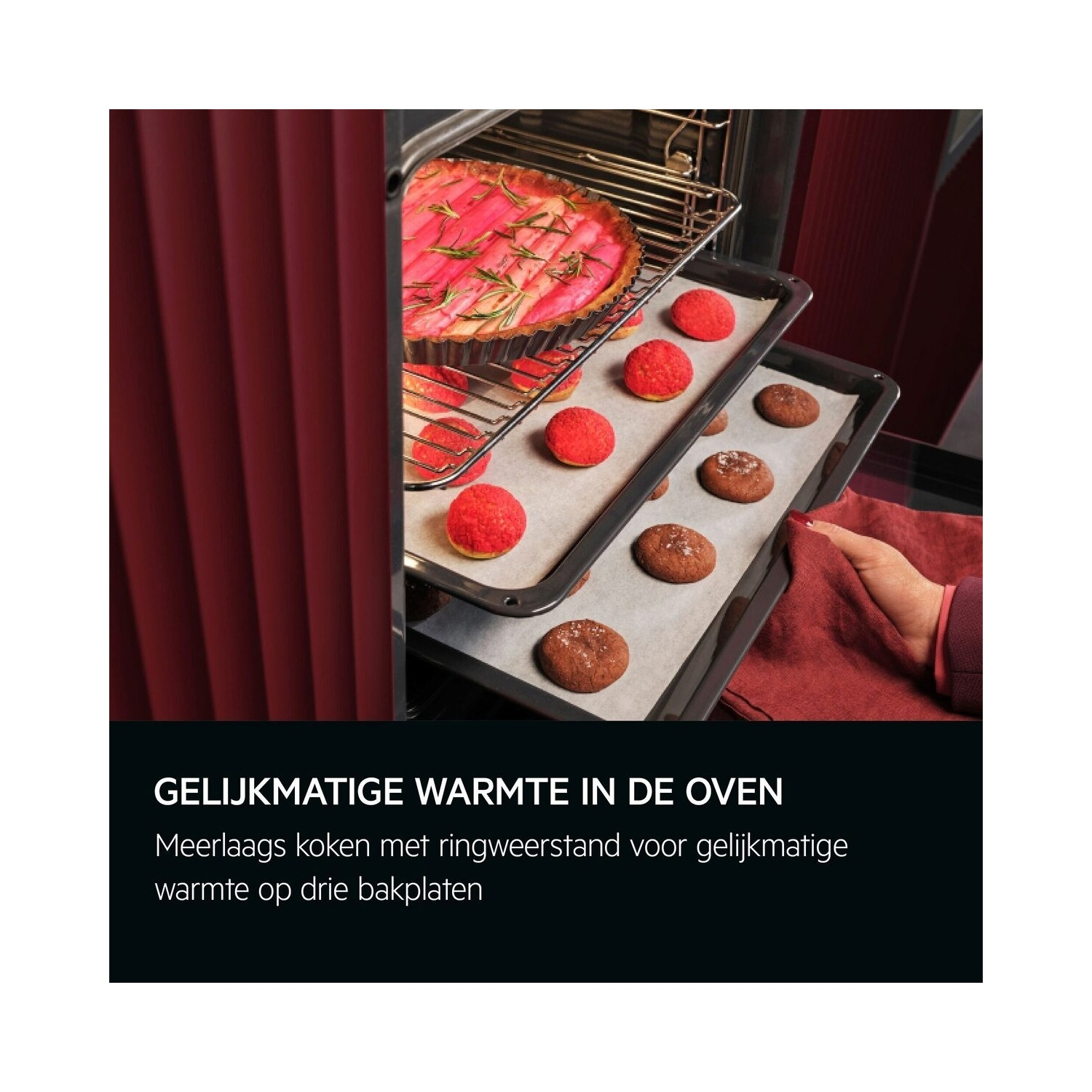 In een oven zijn twee bakplaten zichtbaar met gebakken goederen, met Nederlandse tekst eronder.
