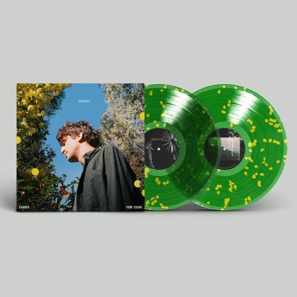 Albumcover und zwei grüne Schallplatten mit gelben Punkten. Blauer Himmel im Hintergrund.
