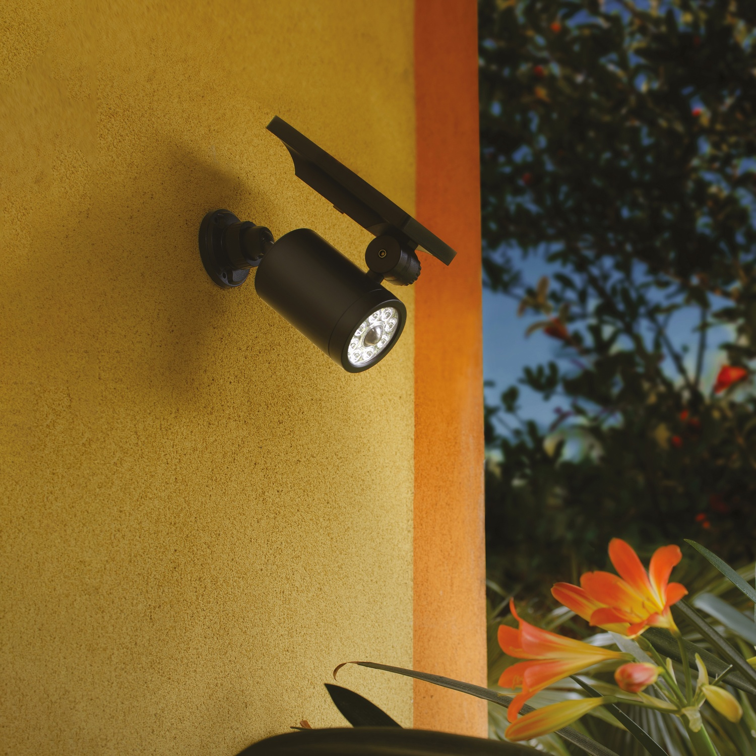 Luce nera a energia solare su muro giallo. Fogliame arancione e verde sullo sfondo.