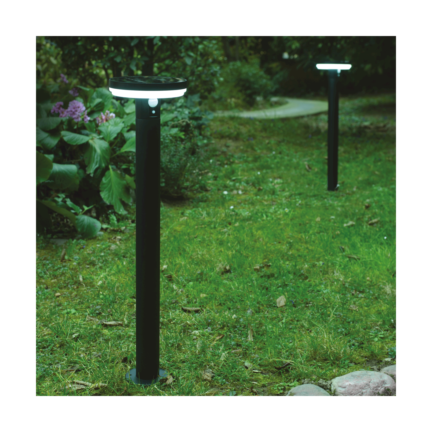 Due luci solari nere su erba. Ognuna ha una luce circolare sulla sommità di un palo.