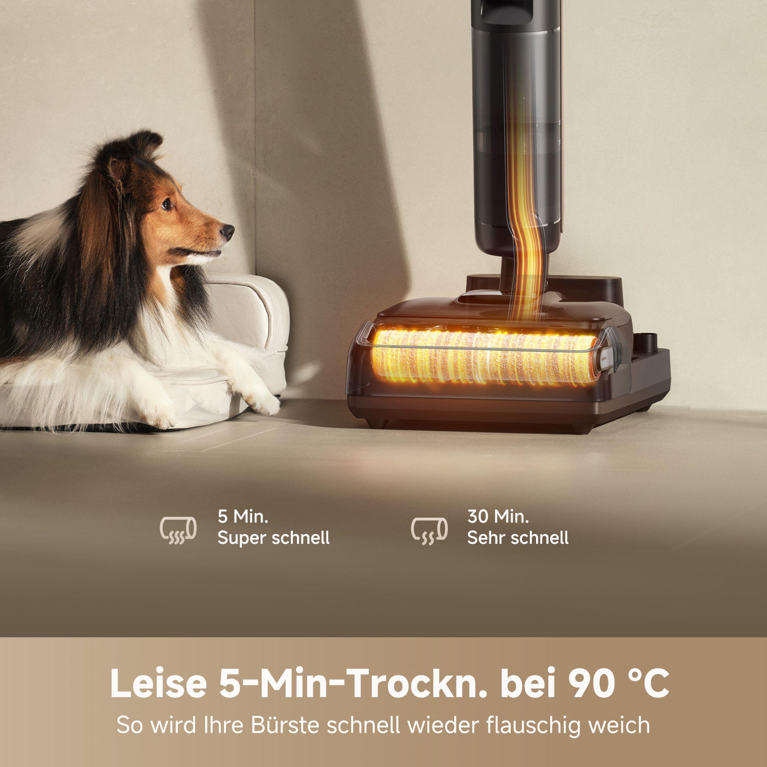 Ein Hund auf einer Couch neben einem Staubsauger mit Text: 5 Min. Super schnell und 30 Min. Sehr schnell.