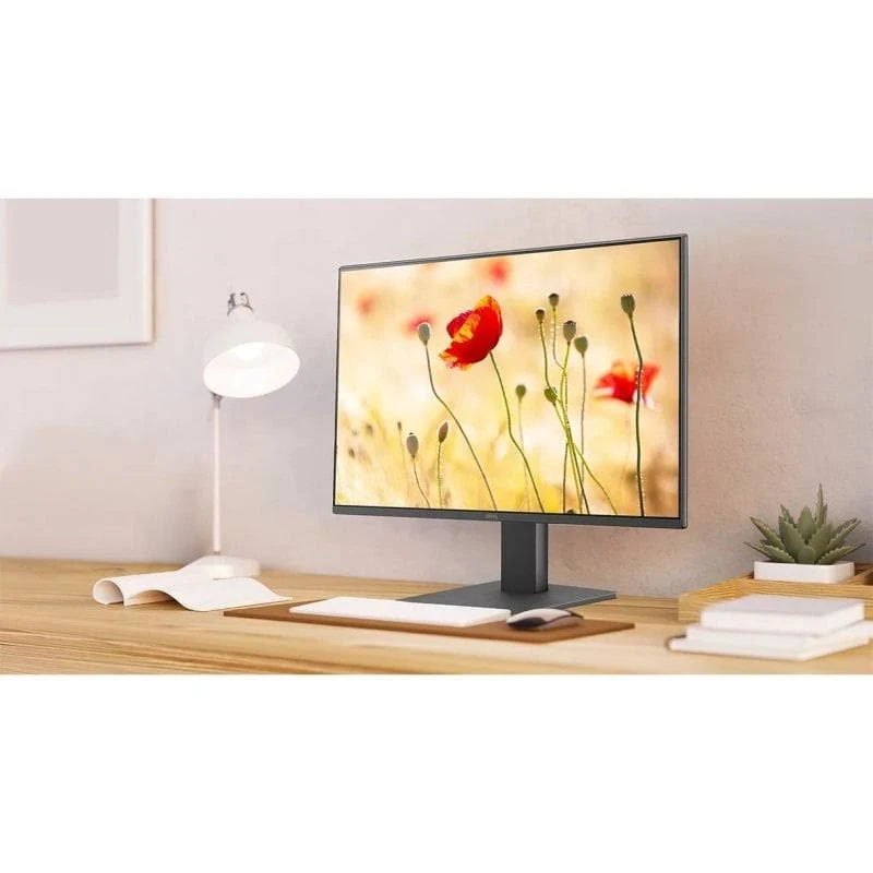 Un monitor de computadora muestra un campo de flores rojas. Una lámpara de escritorio y una planta pequeña en el escritorio.