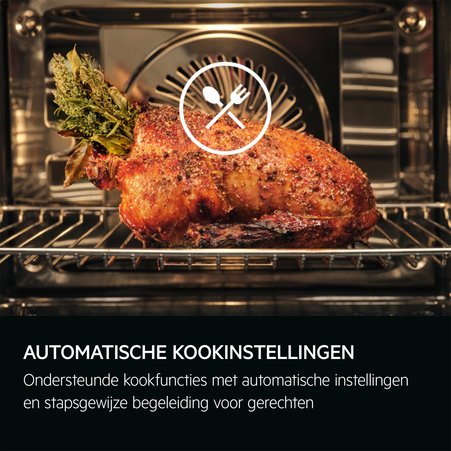 Oven interior with a roasted turkey on a rack, and text below.