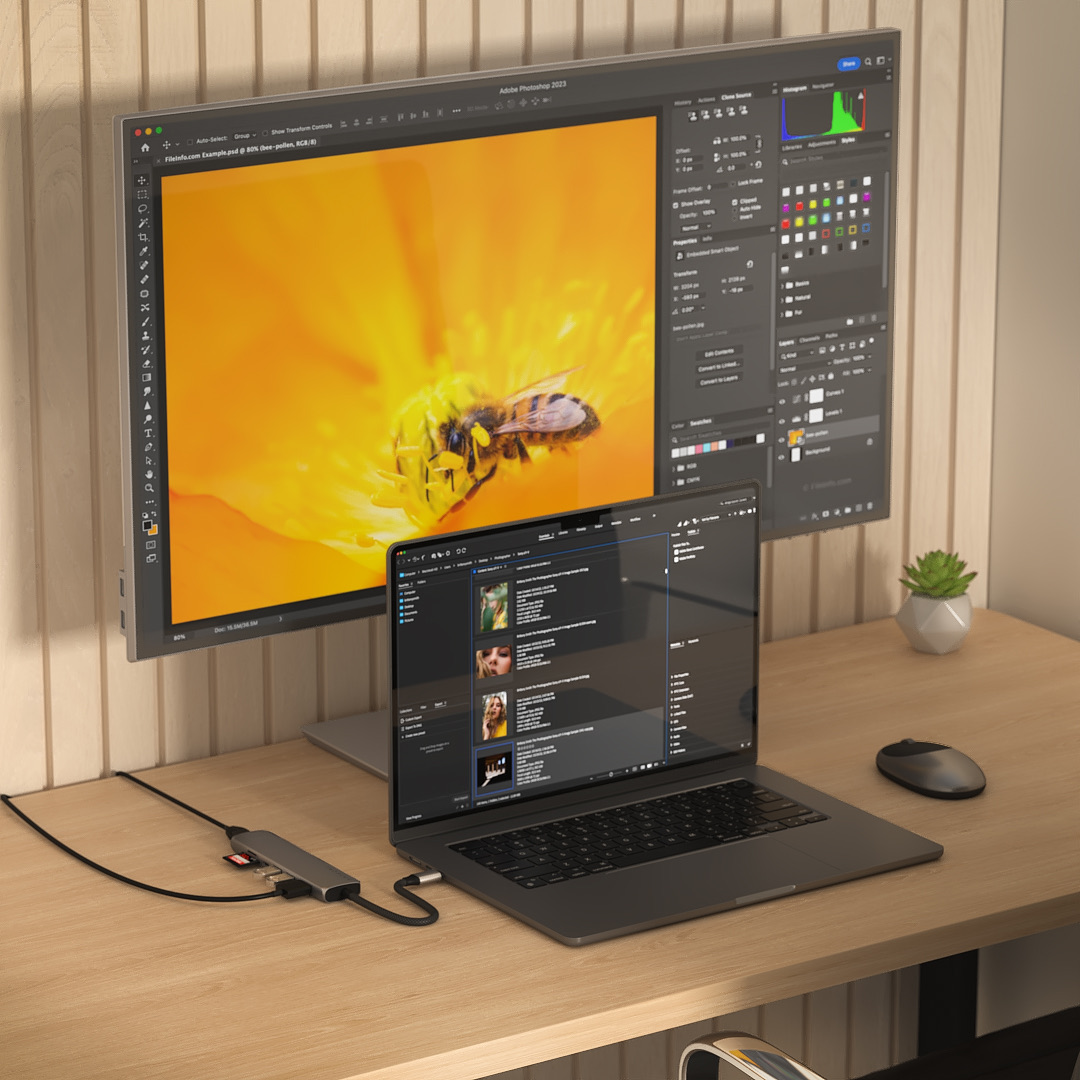 Ein Monitor zeigt eine Biene auf einer Blume, mit einem Laptop.