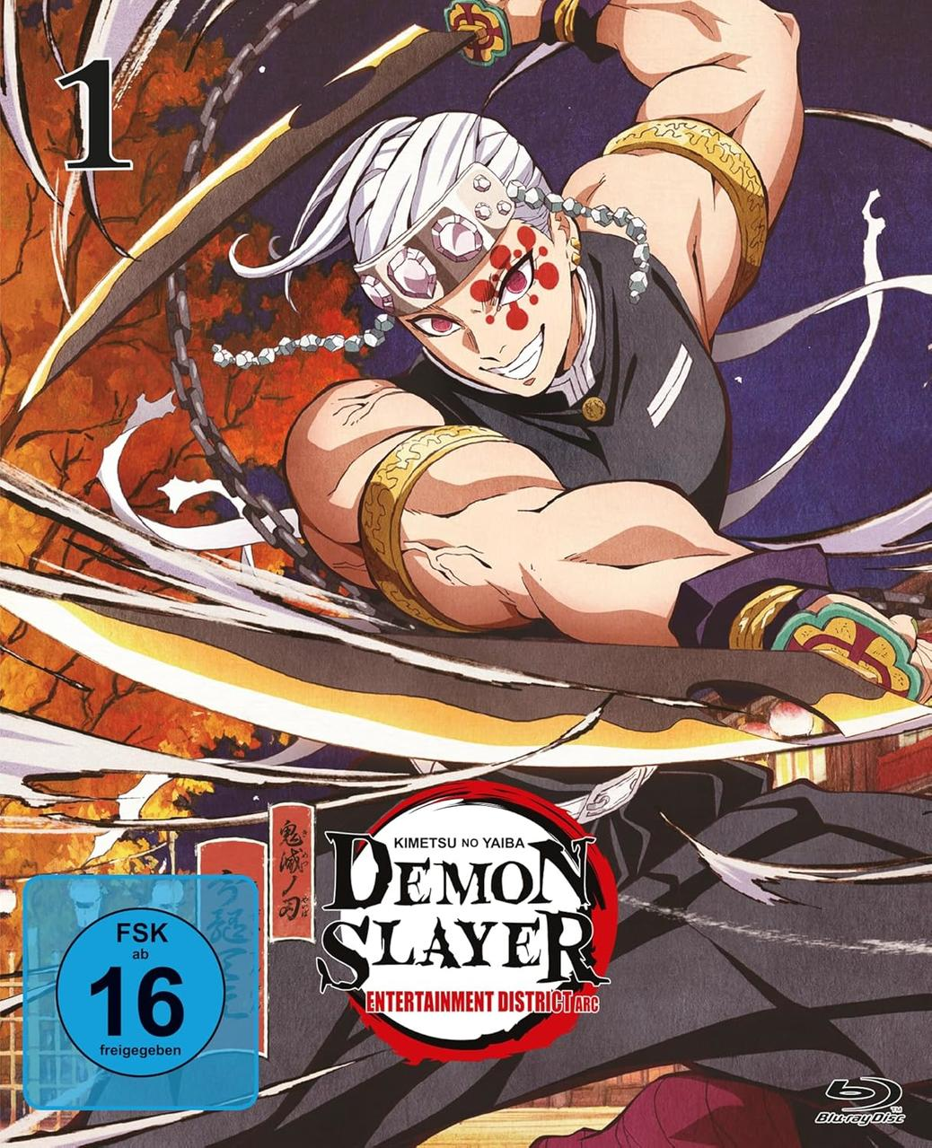 Demon Slayer DVD-Cover. Anime-Charakter mit Schwertern. Text auf Japanisch und Englisch.
