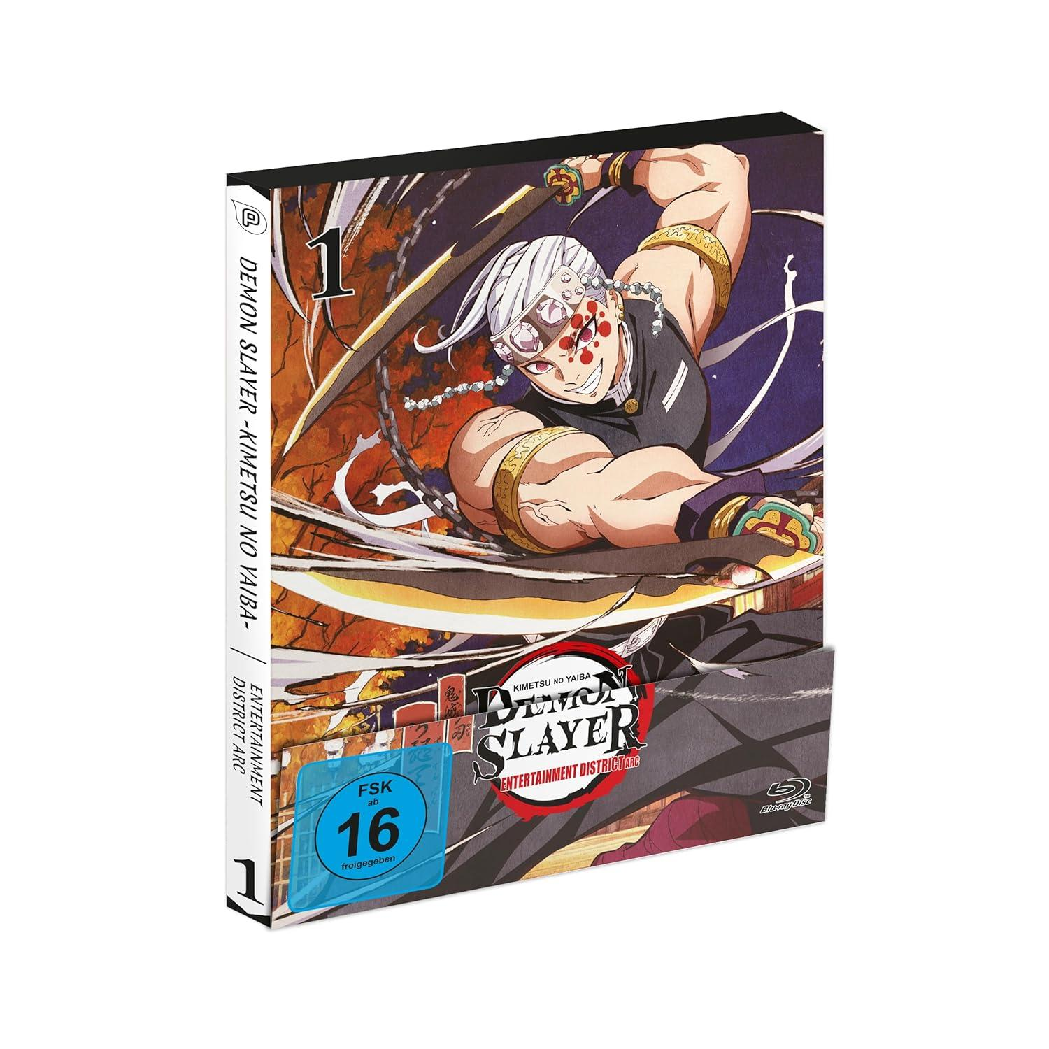 DVD-Hülle mit Manga-Bild, das eine Figur mit Schwertern zeigt. Der Titel lautet 'Demon Slayer'.