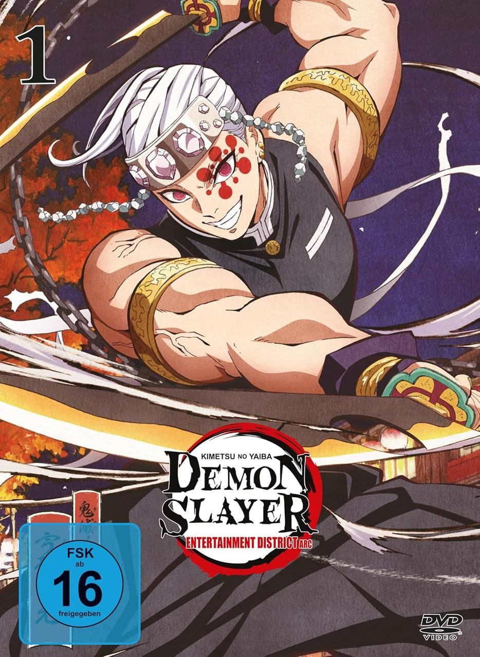 Anime-DVD-Cover. Ein Mann mit Schwertern und ein Dämon. Text: Demon Slayer Entertainment District Arc.