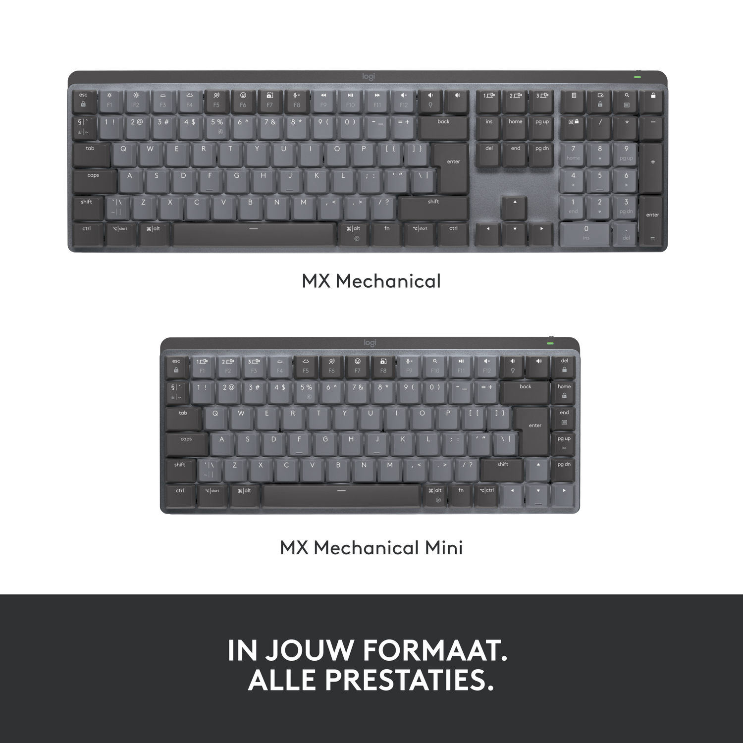 Twee grijze toetsenborden, één van volledige grootte en één mini, beide met de aanduiding MX Mechanical, op een witte achtergrond.