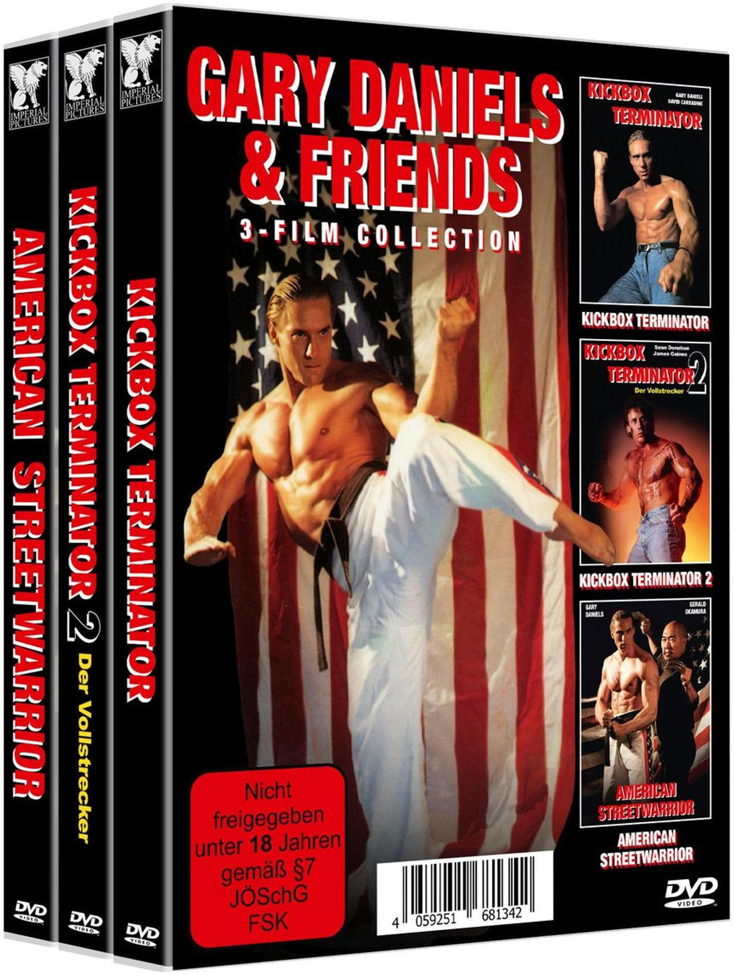 Ein DVD-Set mit drei Filmen, mit Gary Daniels und Actionszenen auf den Covern.