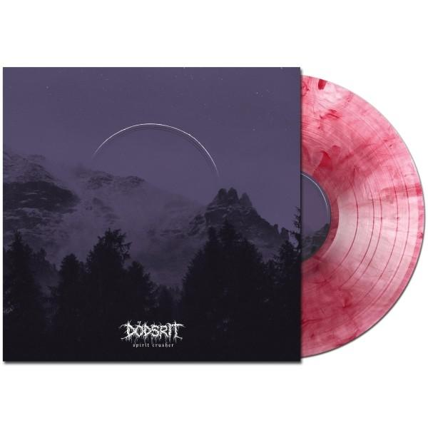 Albumcover mit Berglandschaft und pinkfarbener Vinylplatte.