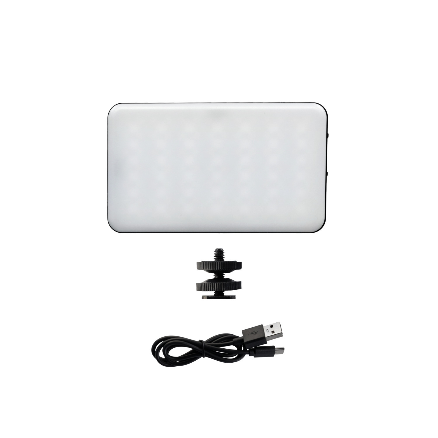 A light with a mounting screw, and a USB cable.