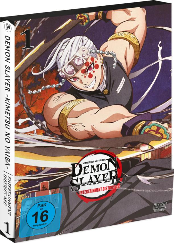 Eine DVD-Box mit dem Bild eines Manga-Charakters.