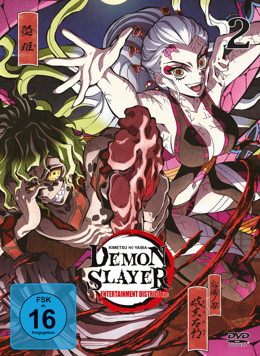 DVD-Cover für 'Demon Slayer'. Enthält zwei Anime-Charaktere. Ein Dämon und ein weiblicher Charakter mit langen Haaren.