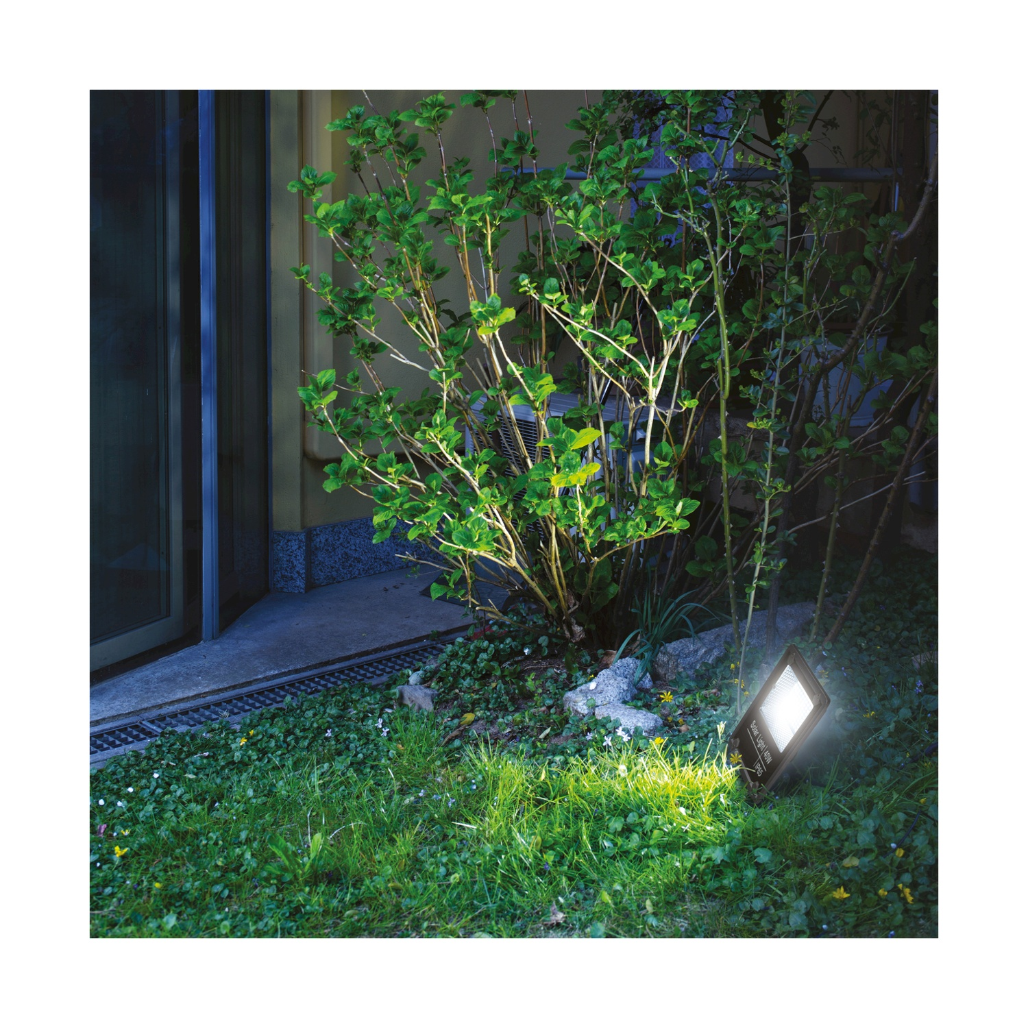Luce LED per esterni che illumina erba verde e un piccolo cespuglio di notte.