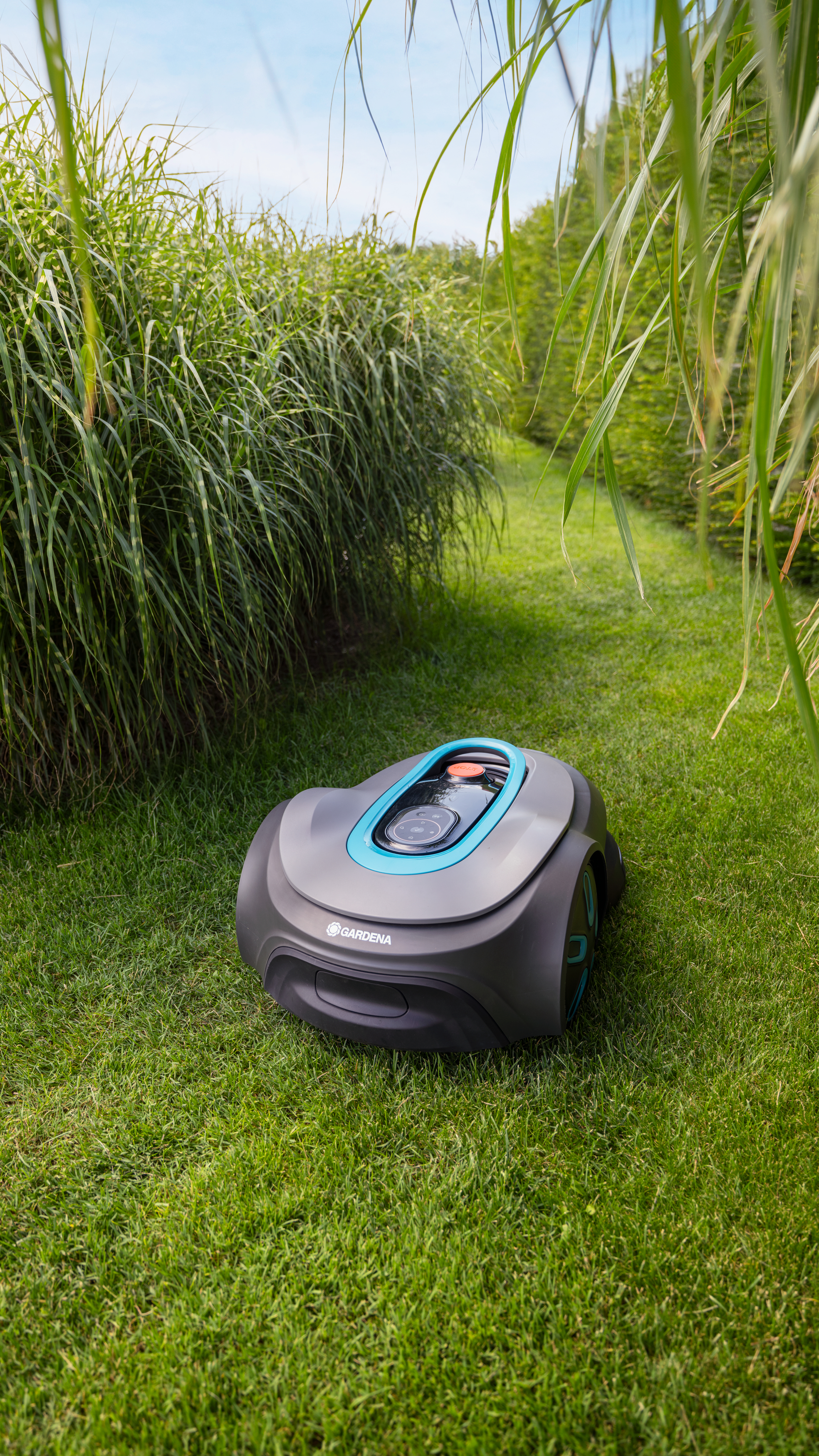 Weiß-schwarze D-Link 2K Pan & Tilt Wi-Fi Kamera auf weißem Hintergrund.