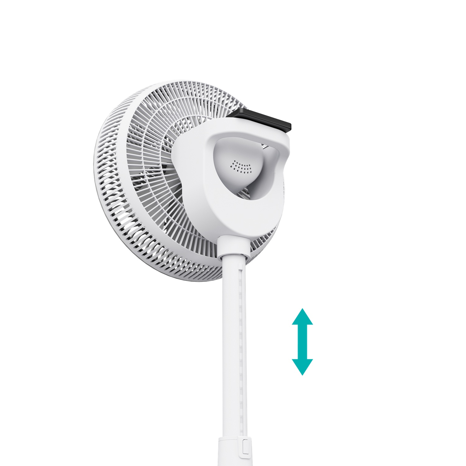 White pedestal fan with arrow indicating height adjustment. White background.