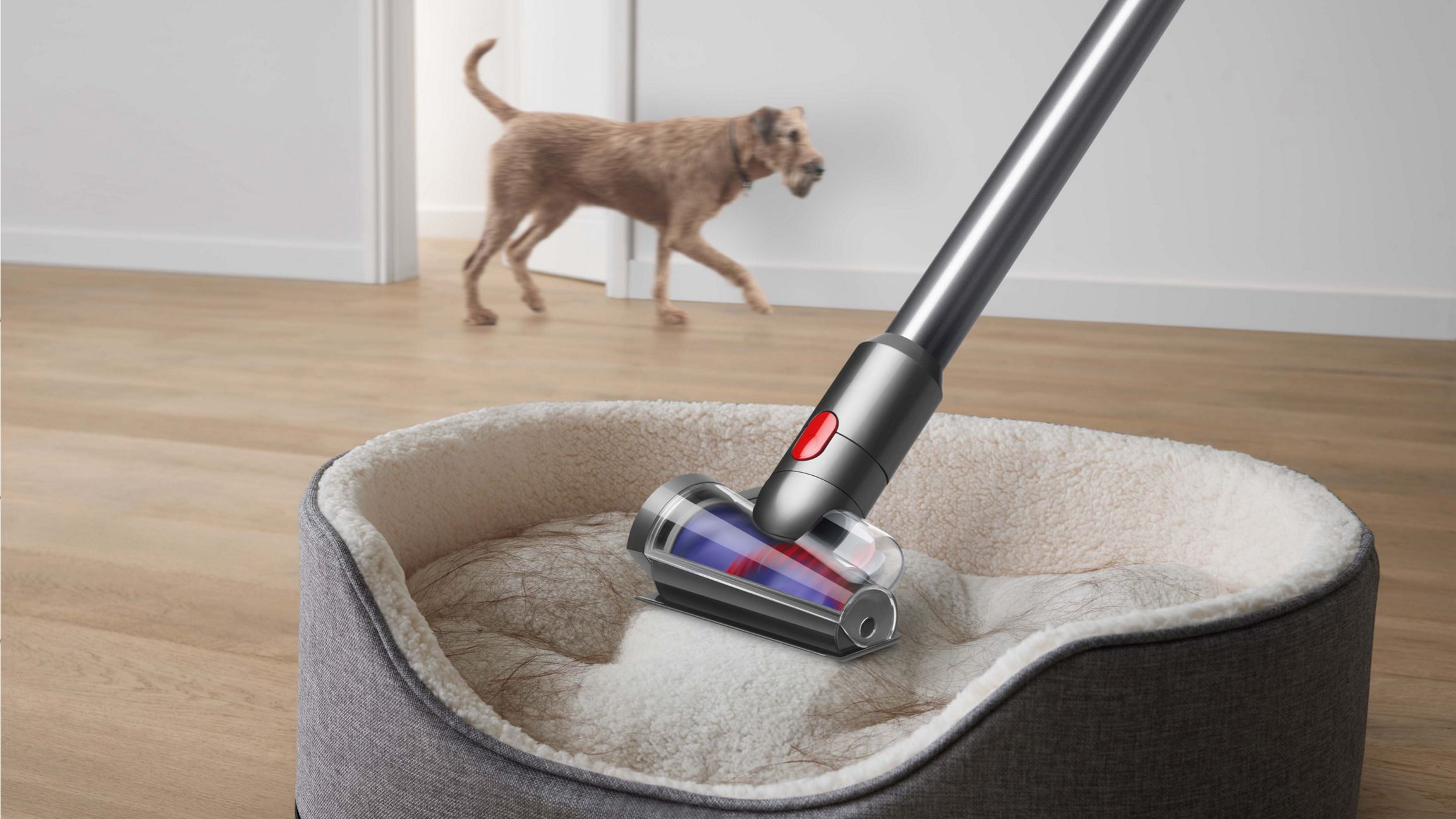 Süpürge başlığı köpek yatağını temizliyor, arka planda köpek.
