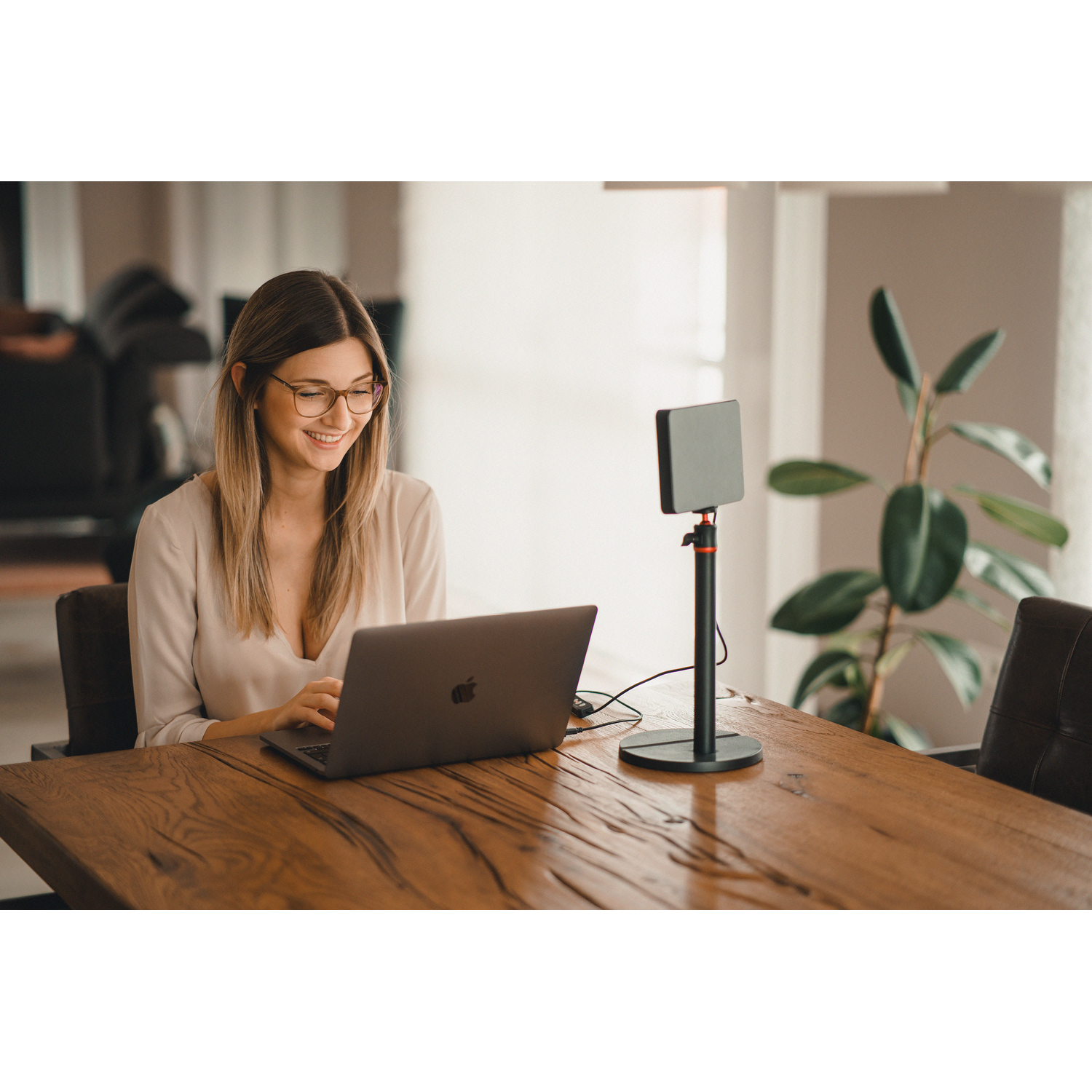 Woman working on a laptop. A black antenna is on a wood table. A plant is also visible.