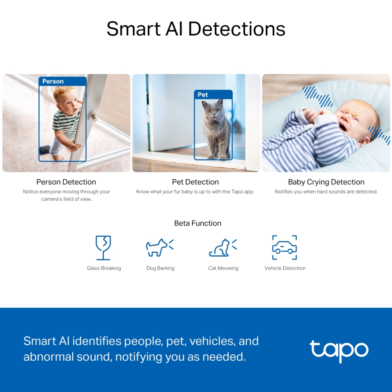 Smart AI detection features displayed: person, pet, and baby crying with additional beta functions.
