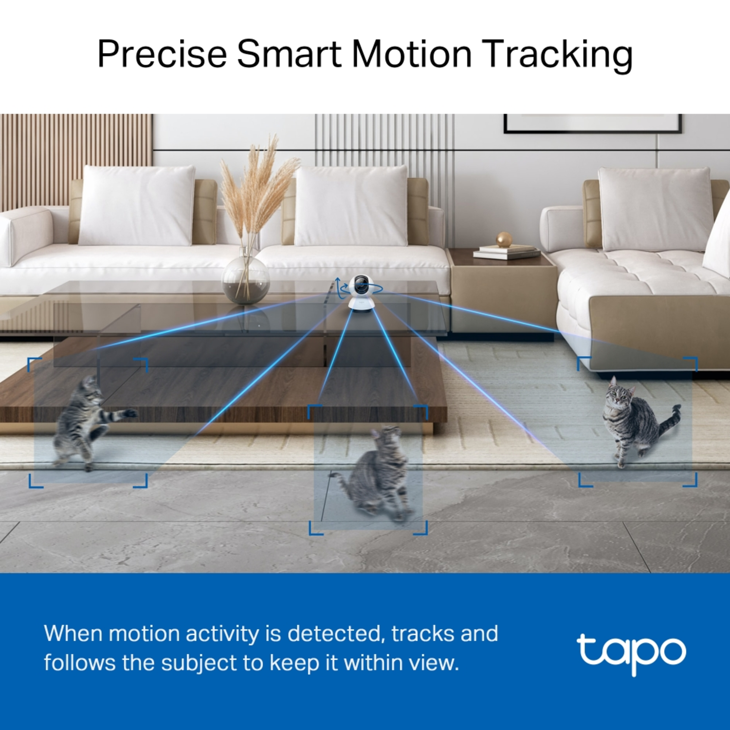 A room scene with cats and a security camera. The camera is tracking movement.