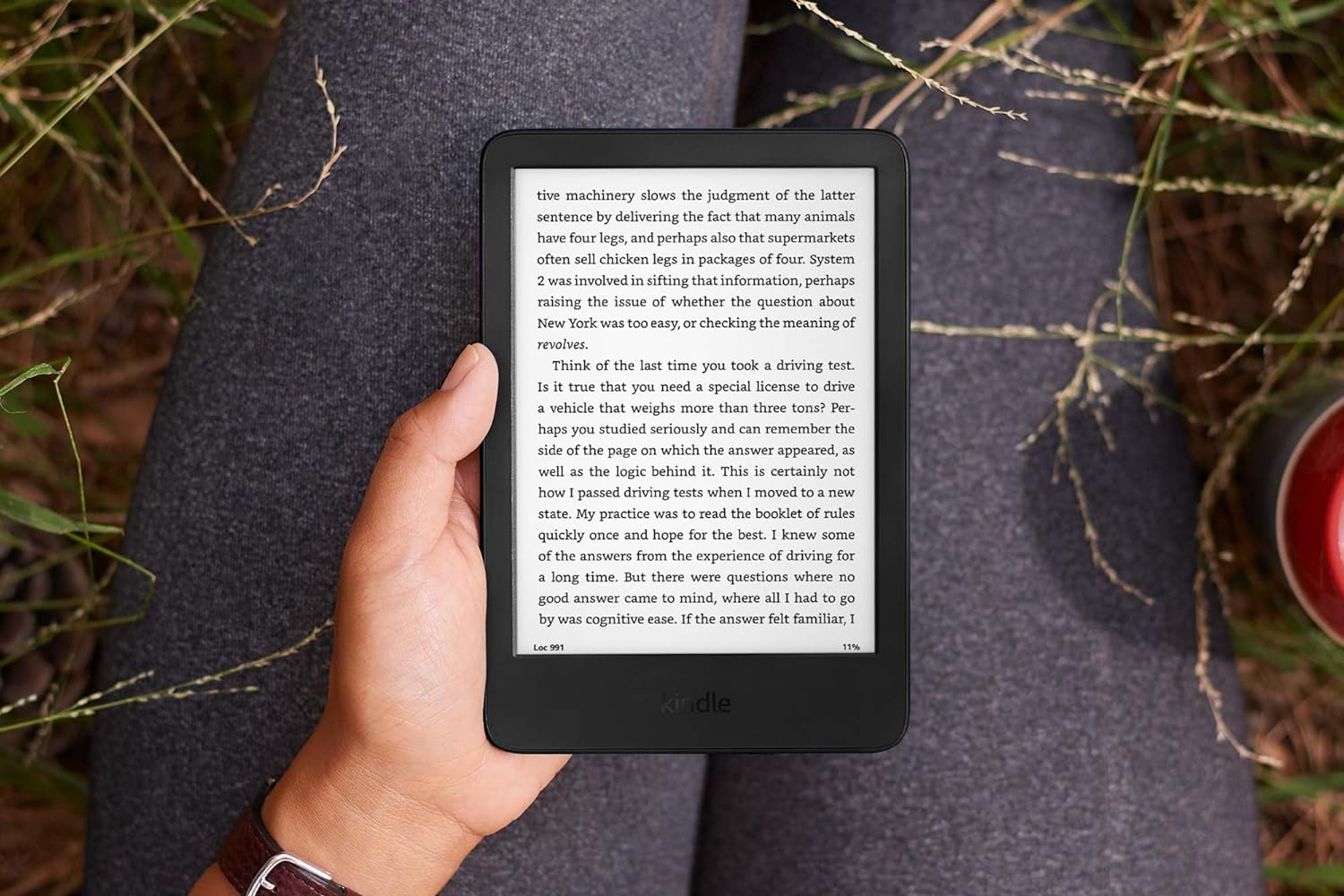 Kéz fekete Kindle-t tart, szöveget mutatva. A személy füvön ül.