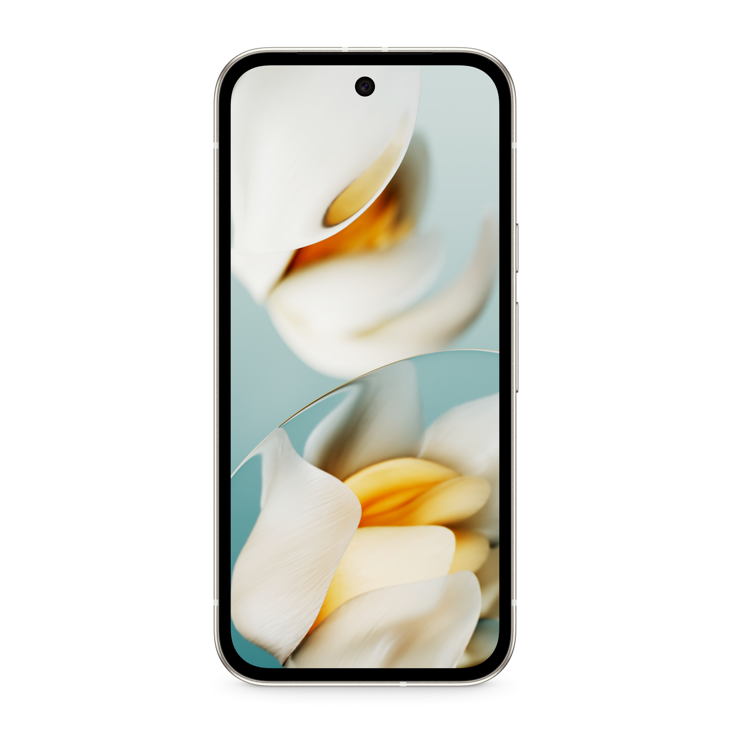 Smartphone con pantalla que muestra flores blancas. Fondo blanco.