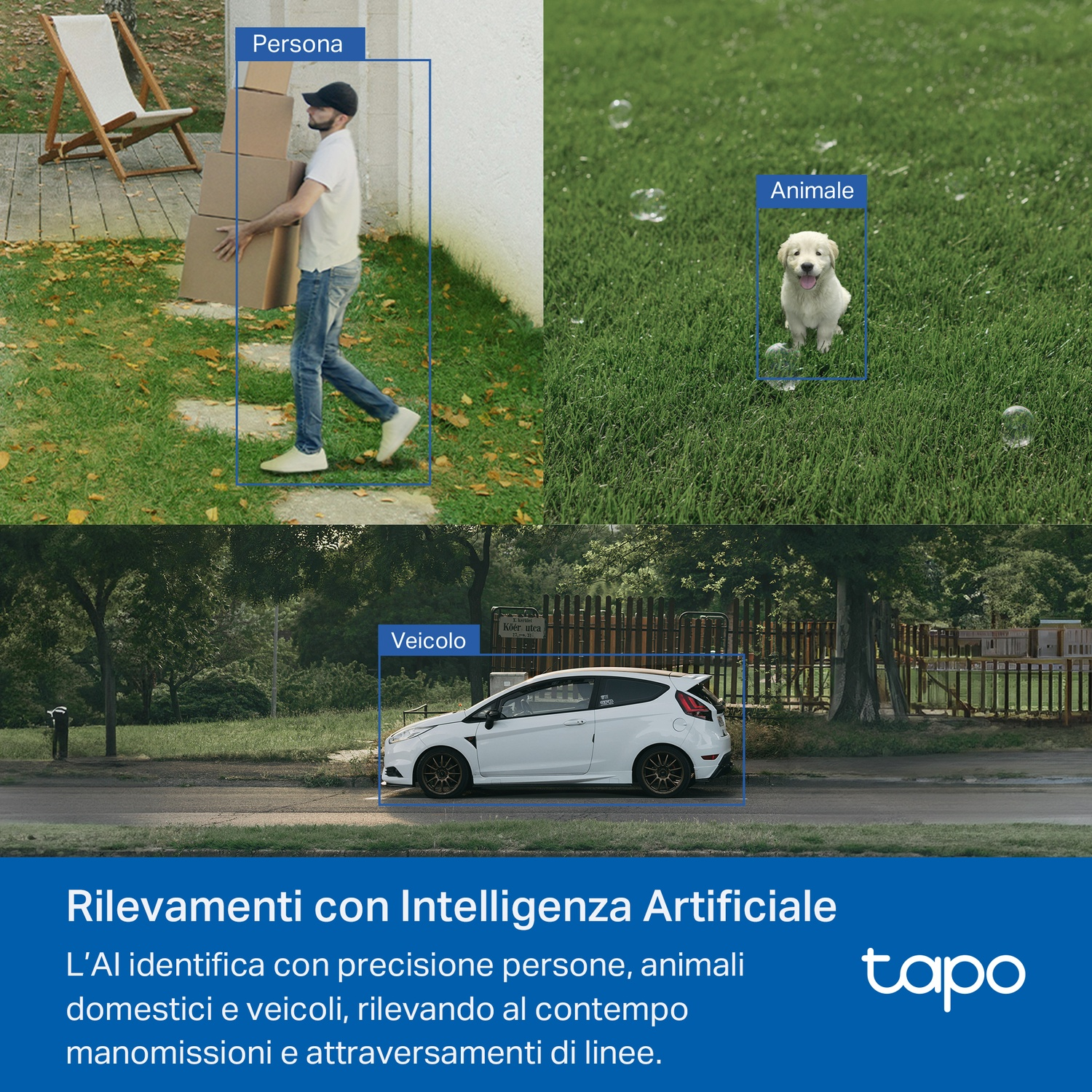 Immagini che mostrano il rilevamento AI: persona che trasporta scatole, un cane sull'erba e un'auto bianca. Testo sul rilevamento AI.