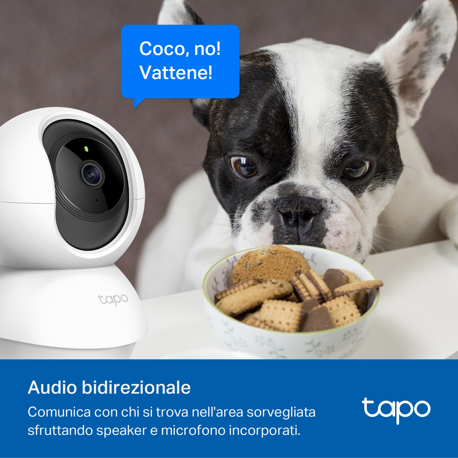 Una telecamera guarda un cane che guarda i dolcetti. Fumetto dice: "Coco, no! Vattene!"