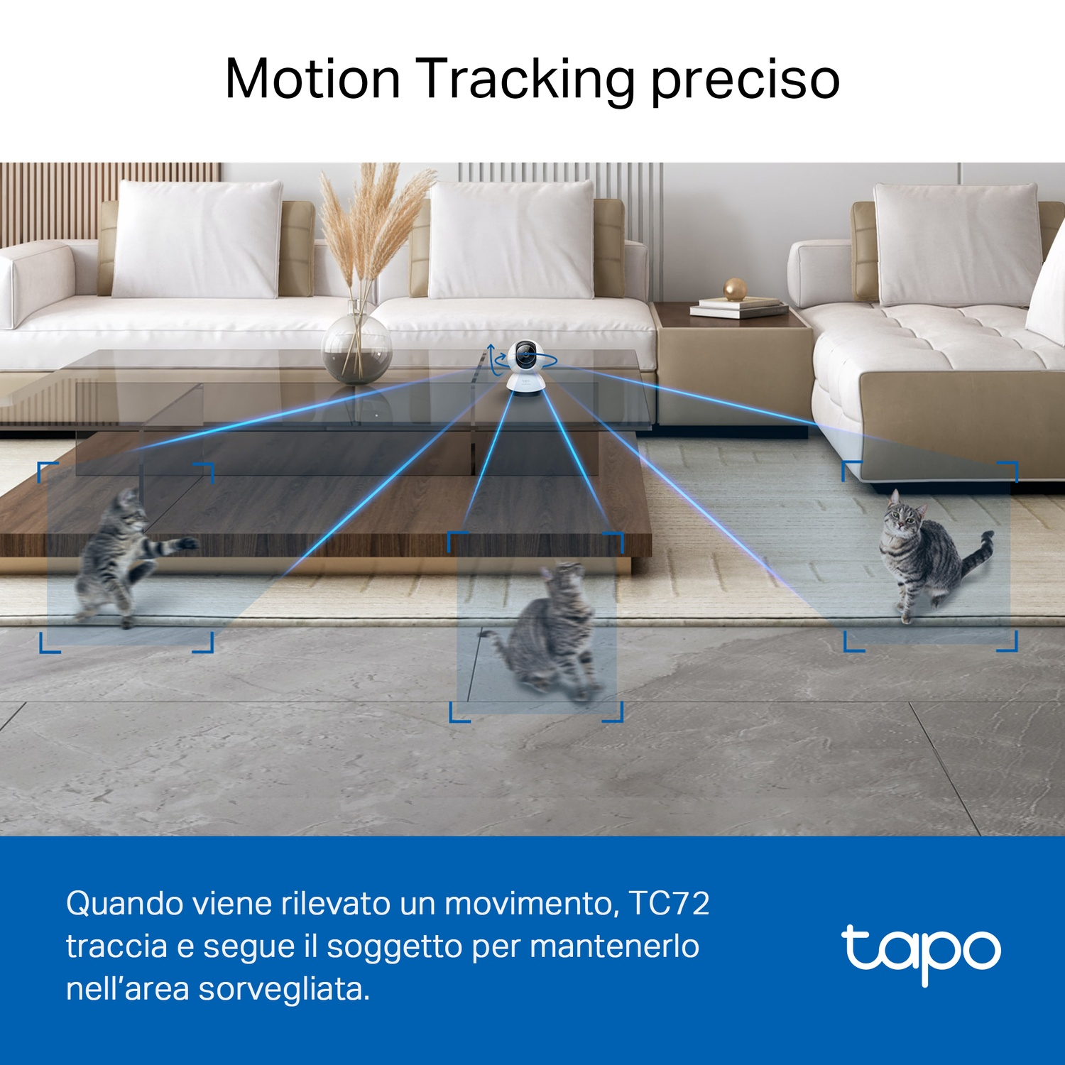 Un primo piano di un documento con testo, con uno sfondo sfocato.
