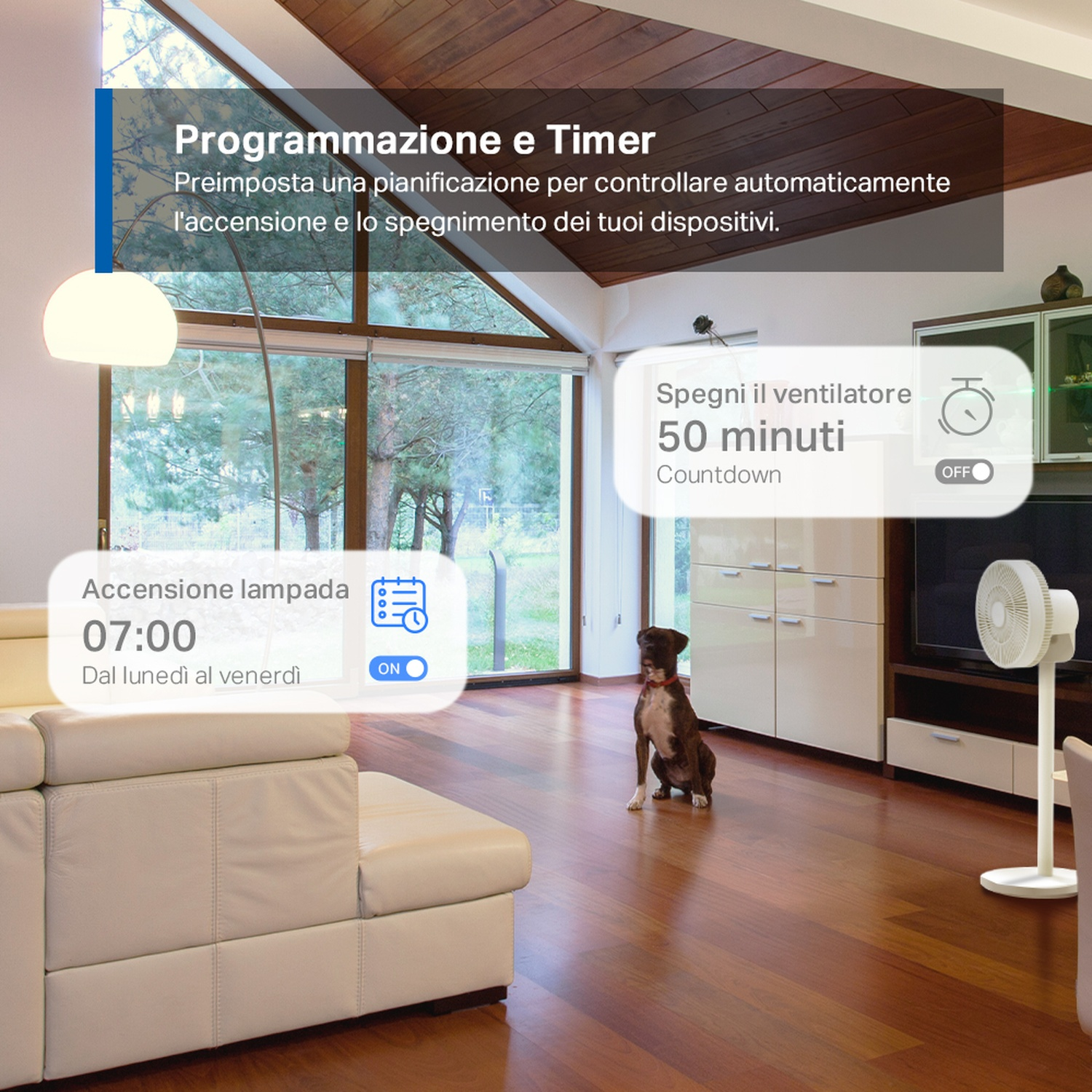 Un accogliente soggiorno con un cane. Una lampada e un timer sono mostrati sul display.