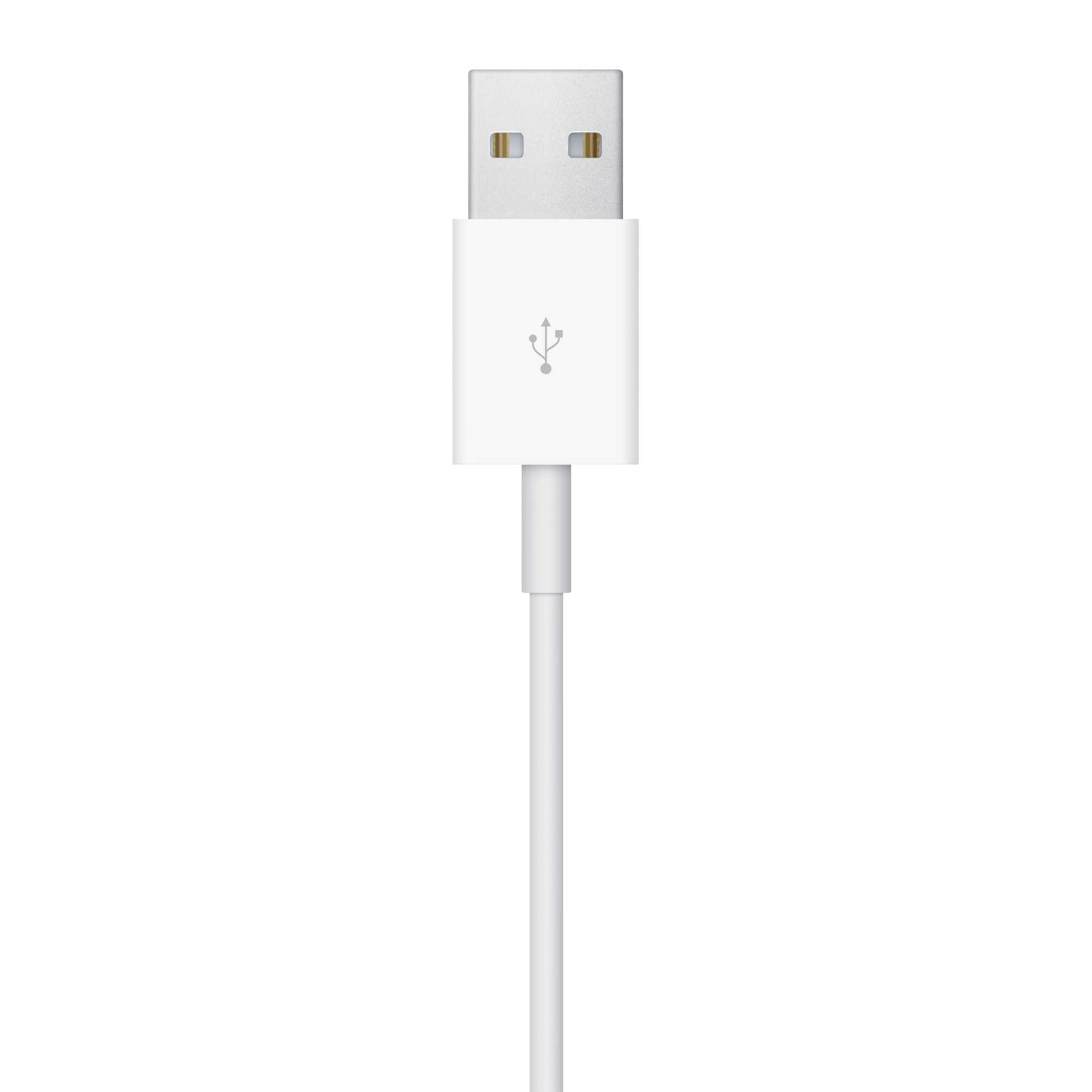 Primer plano de un cable de carga USB blanco con el conector USB visible.