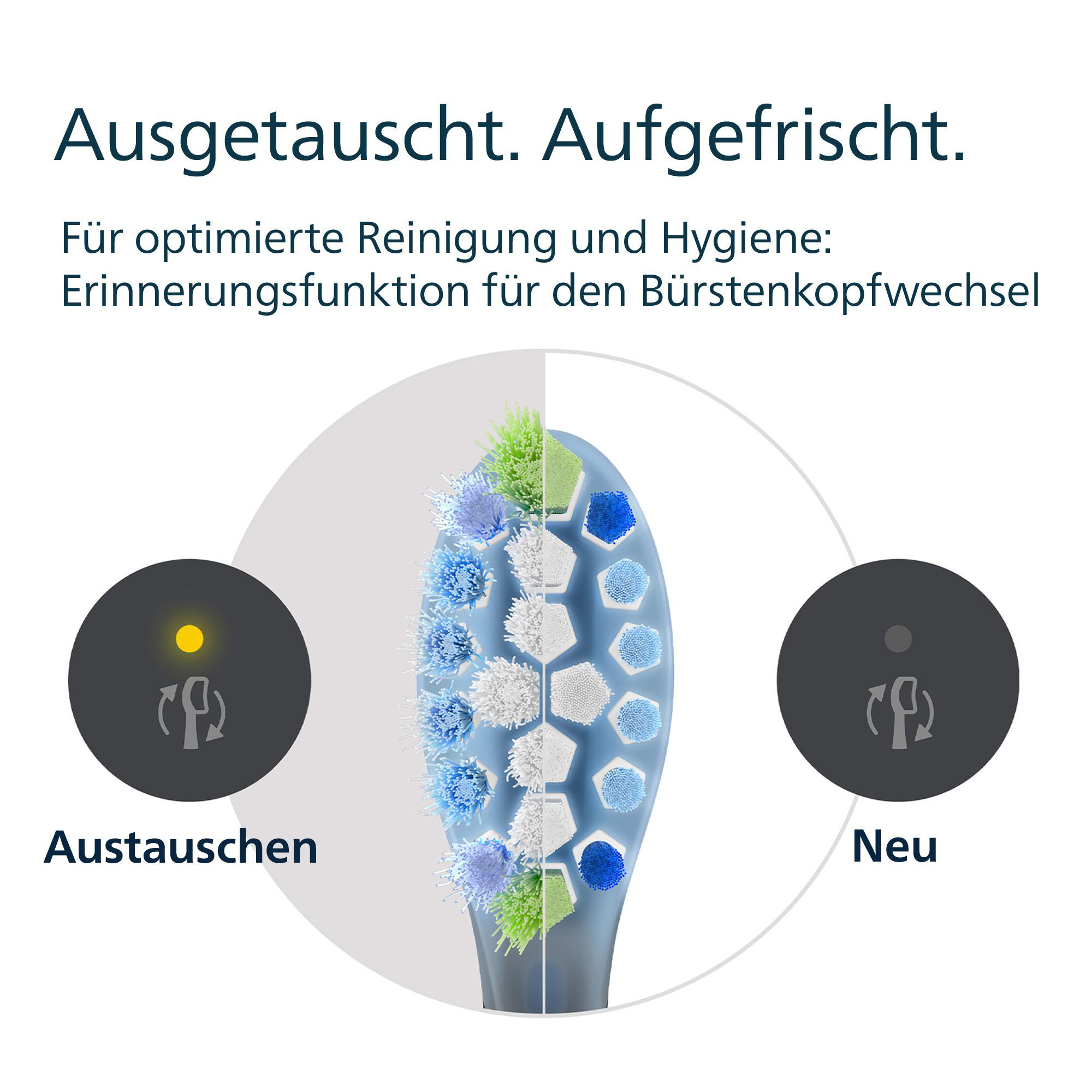 Zahnbürstenkopf-Vergleich. Einer mit abgenutzten Borsten, einer neu. Text und Kreise überlagern.