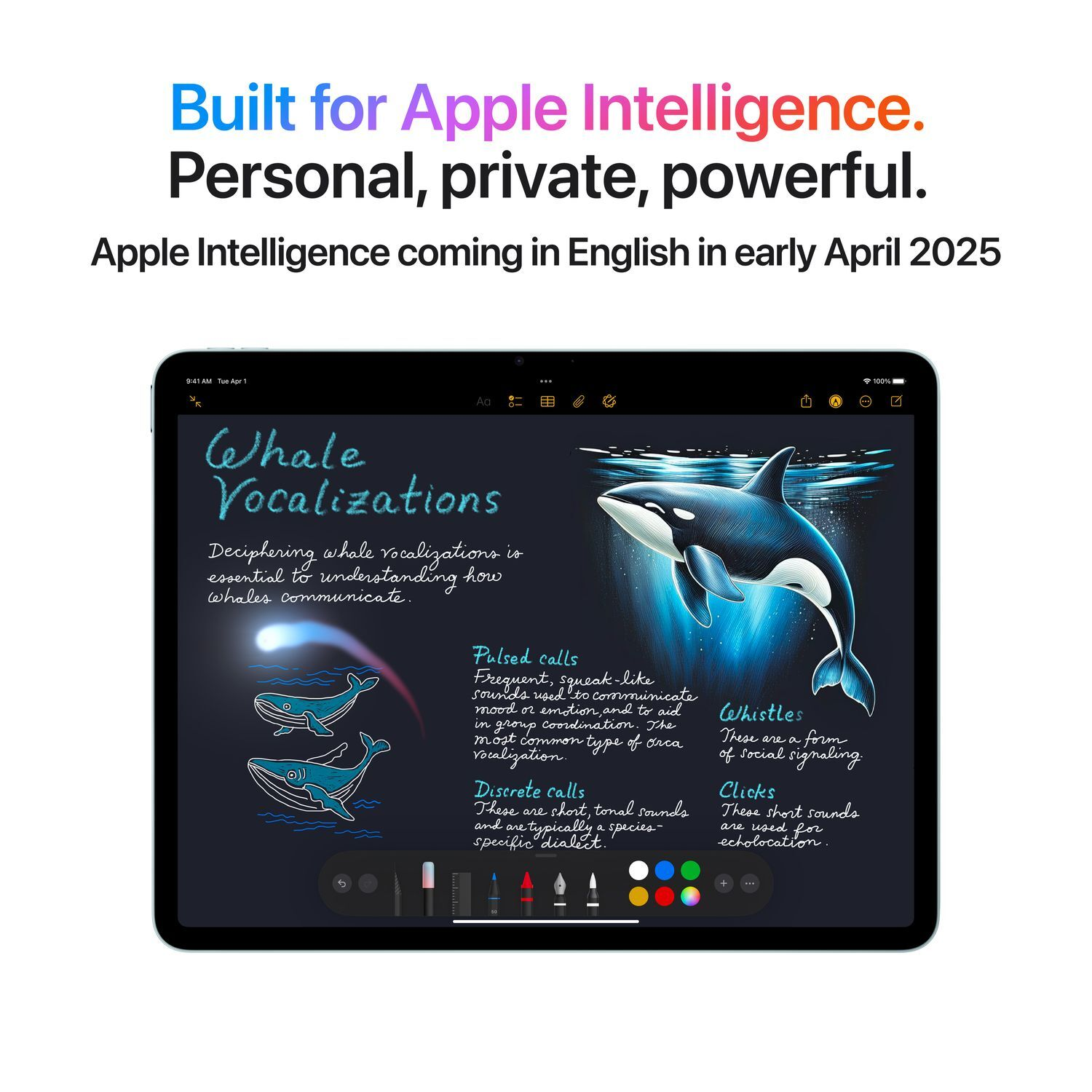 Écran de tablette avec un dessin de baleine et du texte sur les vocalisations de baleines.