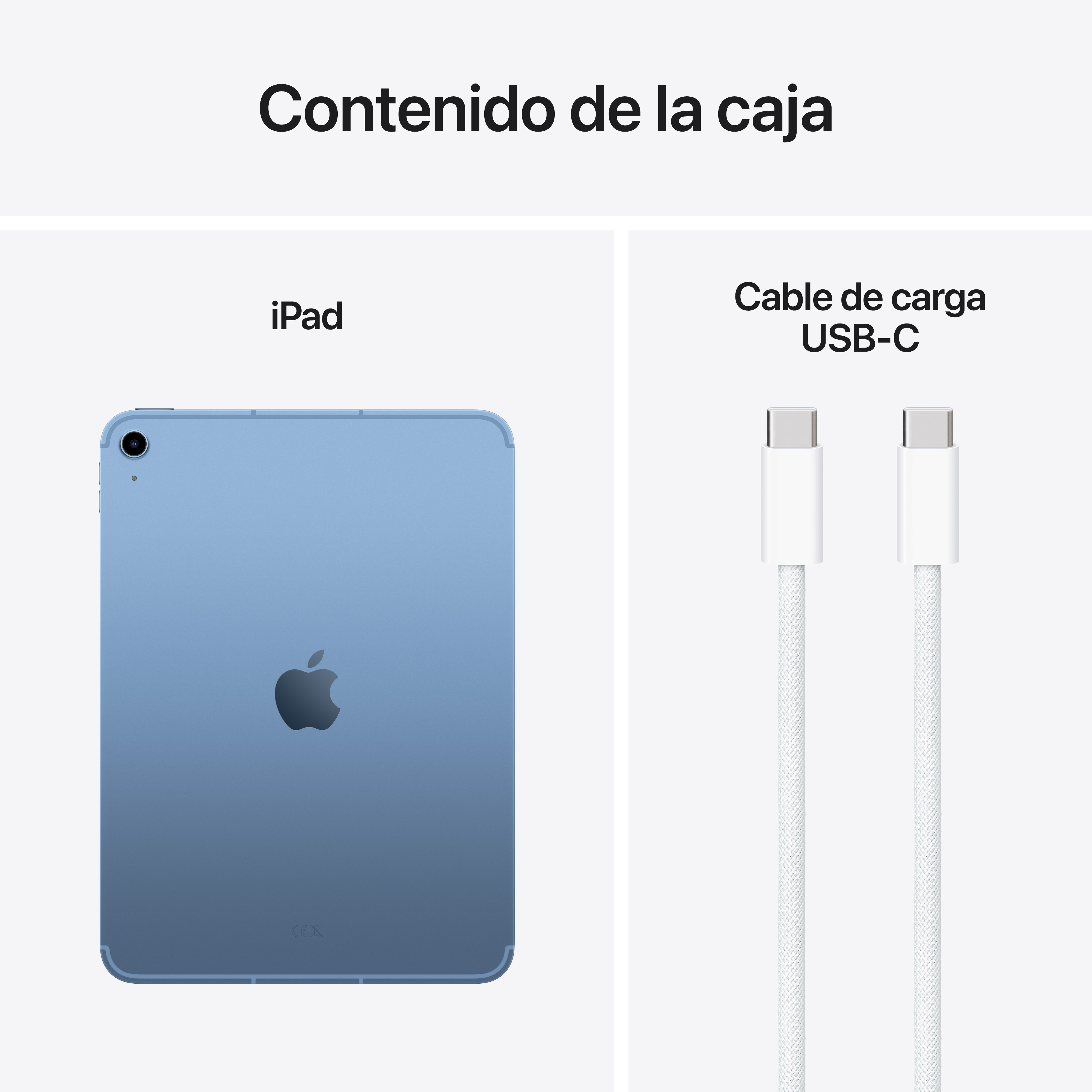 Un iPad y un cable de carga USB-C sobre un fondo blanco.