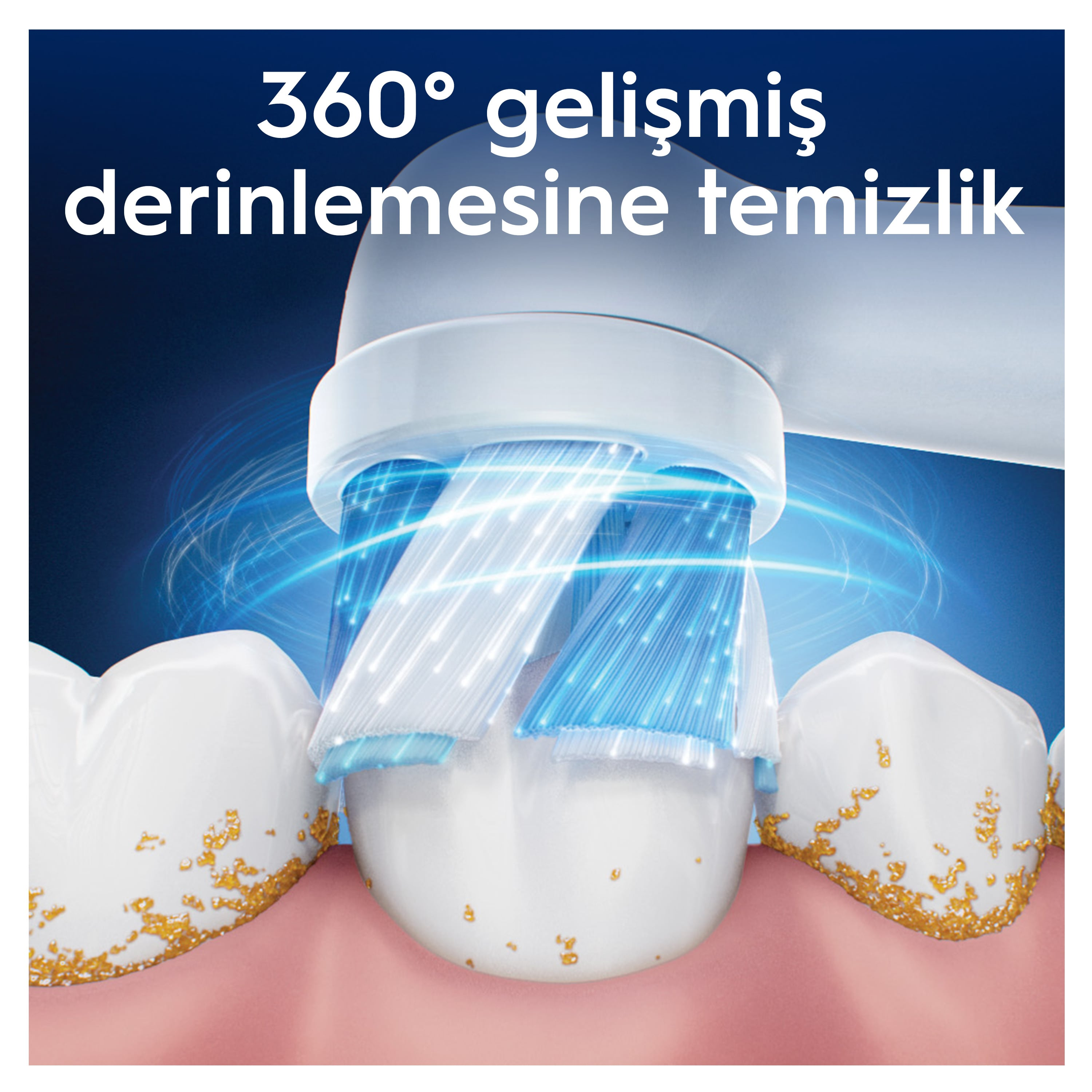 Dişleri temizleyen bir diş fırçası başlığının görüntüsü. Kıllar mavi ve beyaz. Dişler sarı lekeli.