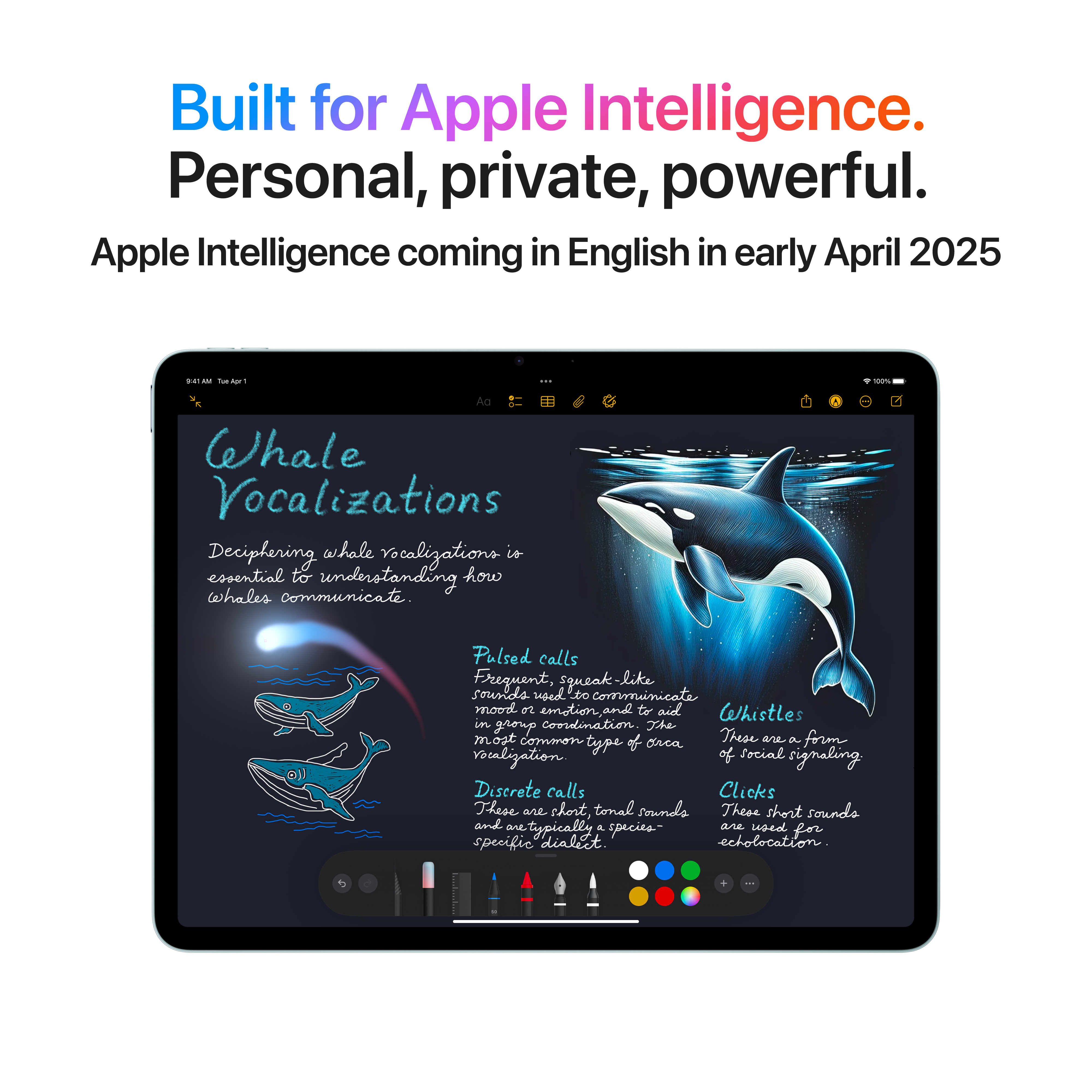 Un iPad che mostra informazioni sulle vocalizzazioni delle balene e un'illustrazione.