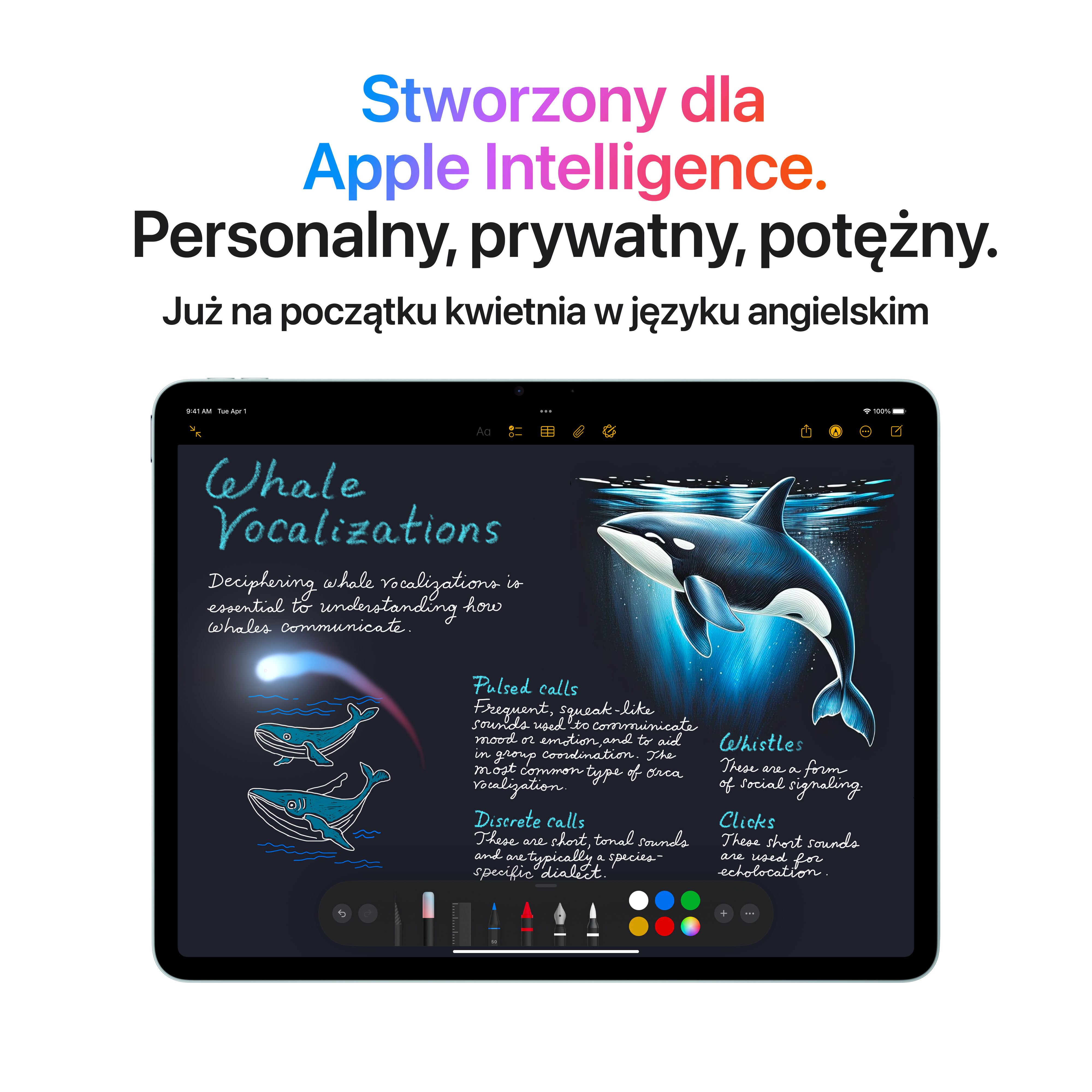 Tablet z czterema opcjami kolorystycznymi z boku: niebieski, beżowy, szary i fioletowy.
