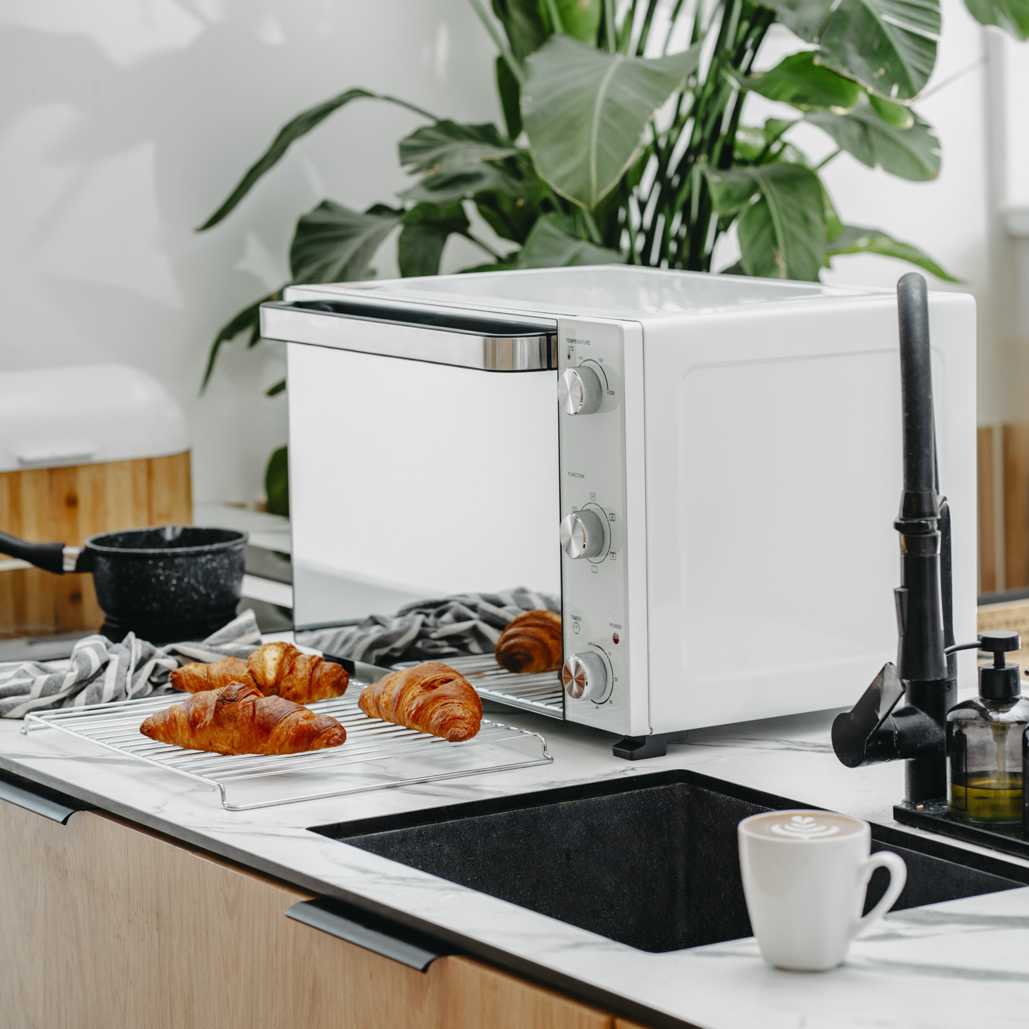 Fehér sütő croissant-okkal a rácson, mosogató és kávé. Növény a háttérben.
