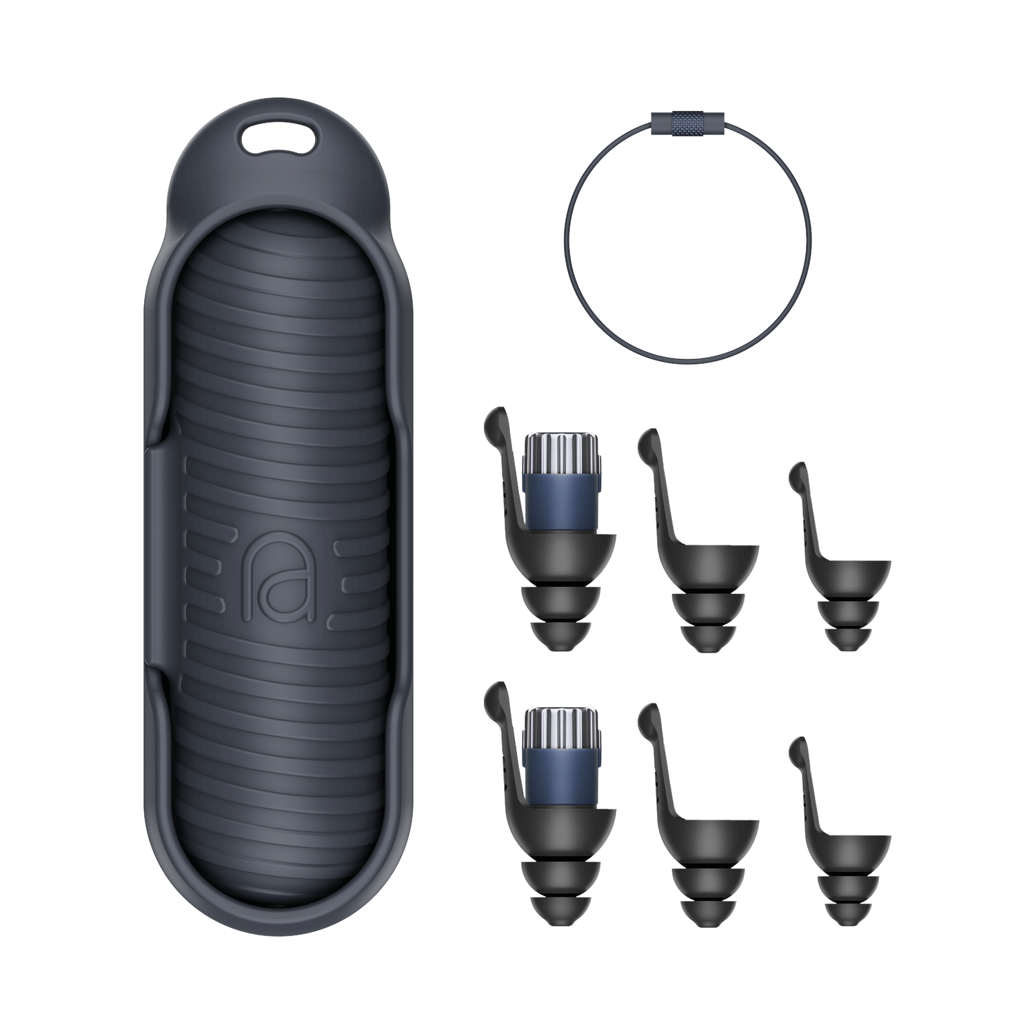 Earplugs, a carrying case, and a keyring. The earplugs are black and blue.