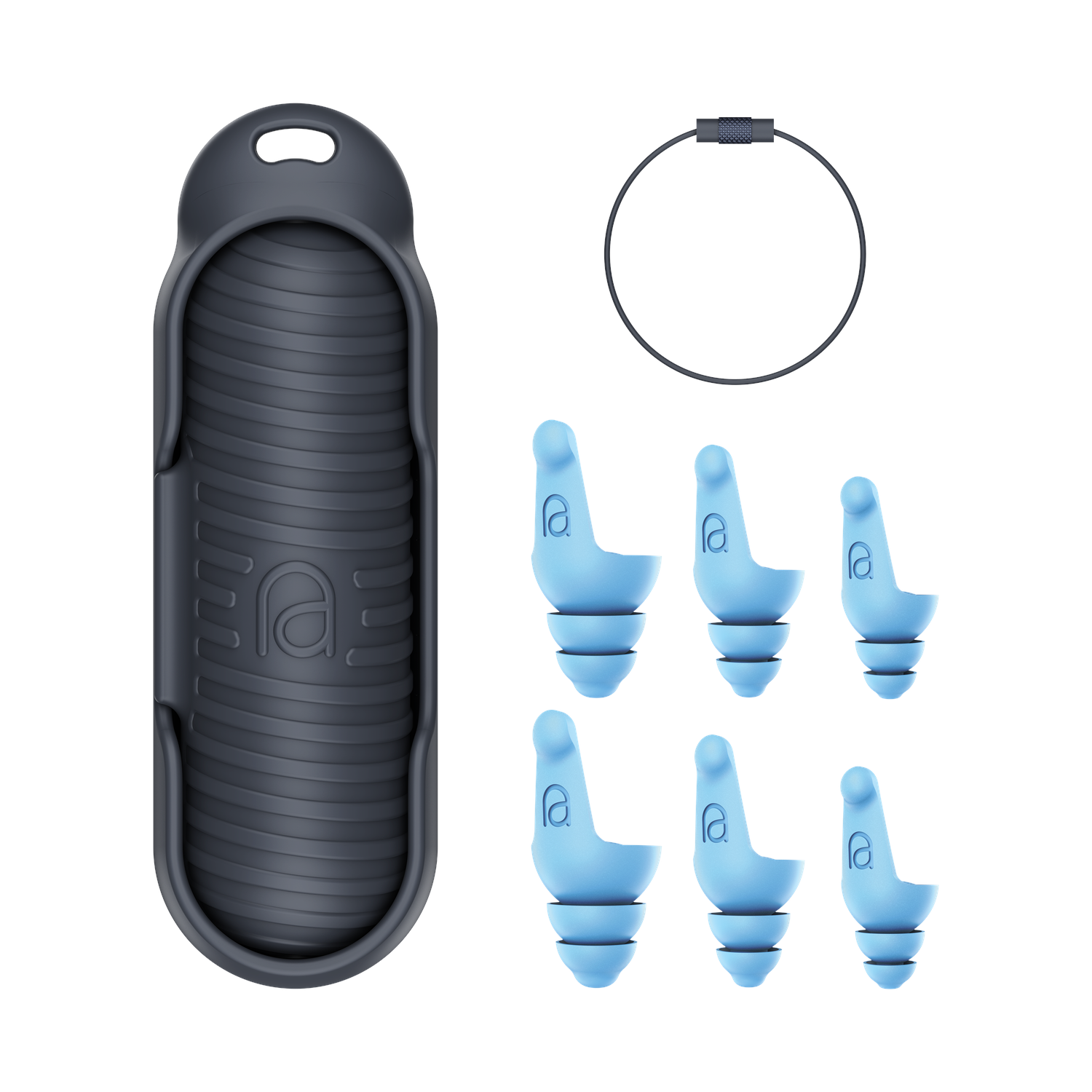 Earplugs, a case, and a metal ring.