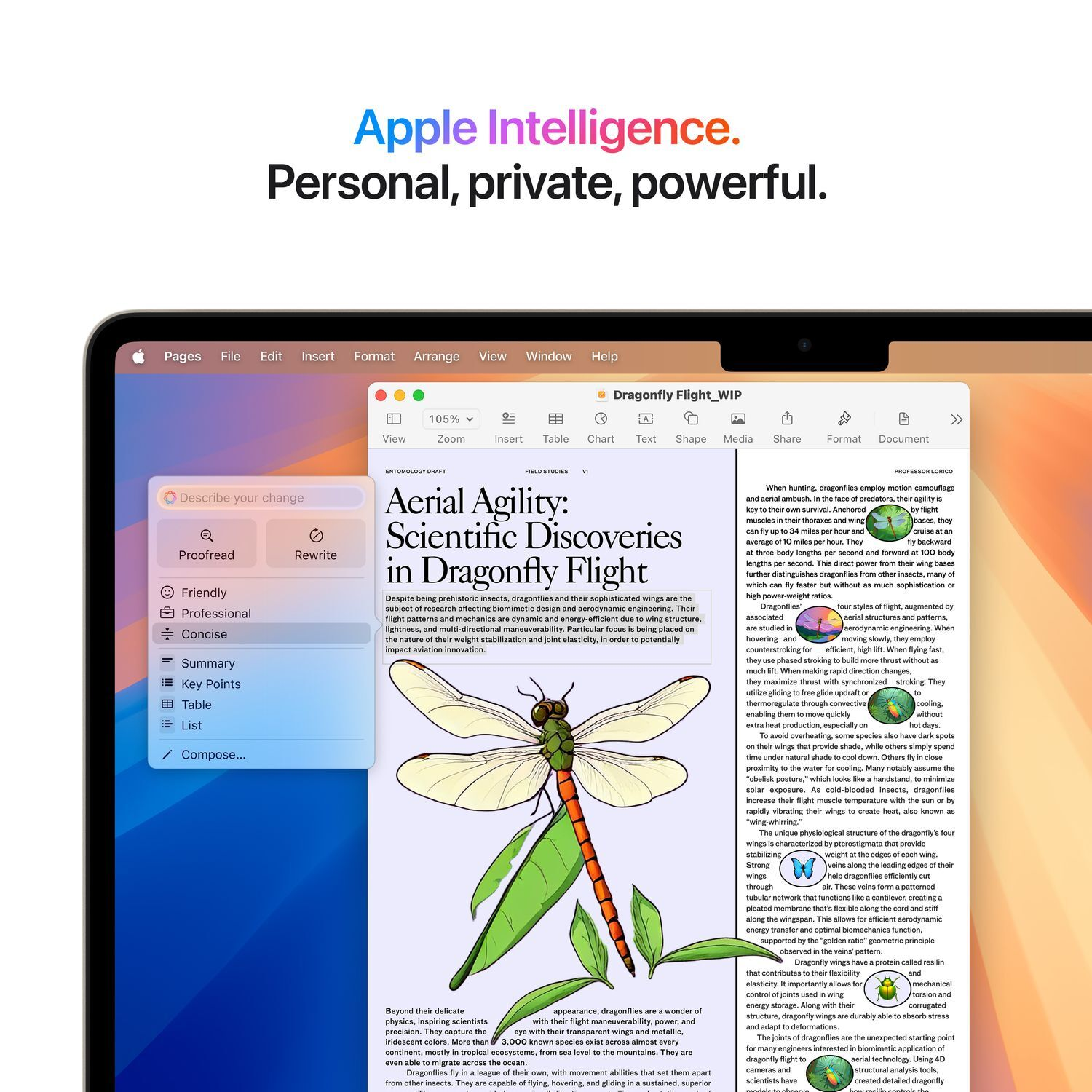 Een MacBook-scherm waarop een document over libellenvluchten wordt weergegeven. Tekst en een tekening van een libelle zijn zichtbaar.
