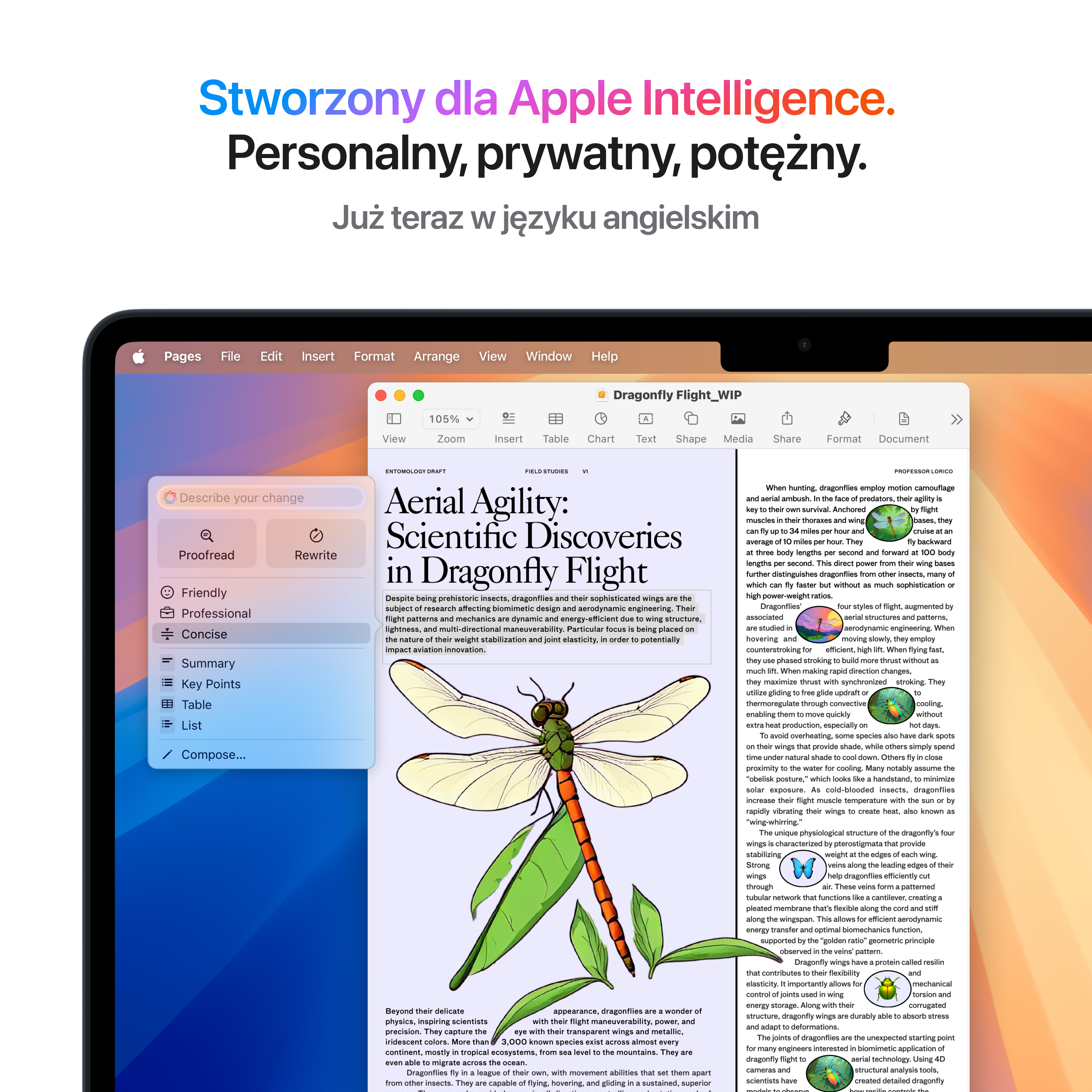 Ekran laptopa wyświetlający dokument z ilustracją ważki i tekstem, białe tło.