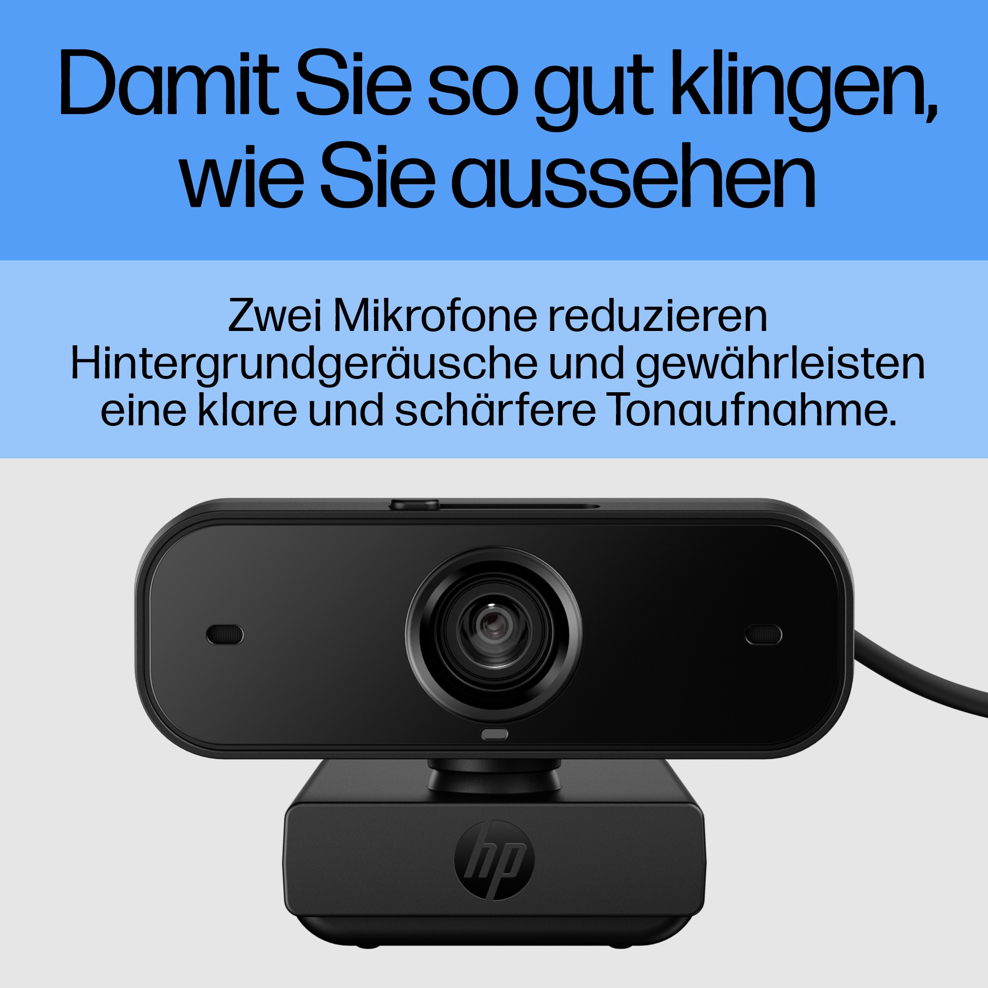 Schwarze Webcam mit schwarzem Sockel, Text über zwei Mikrofone und Hintergrundgeräuschreduzierung.