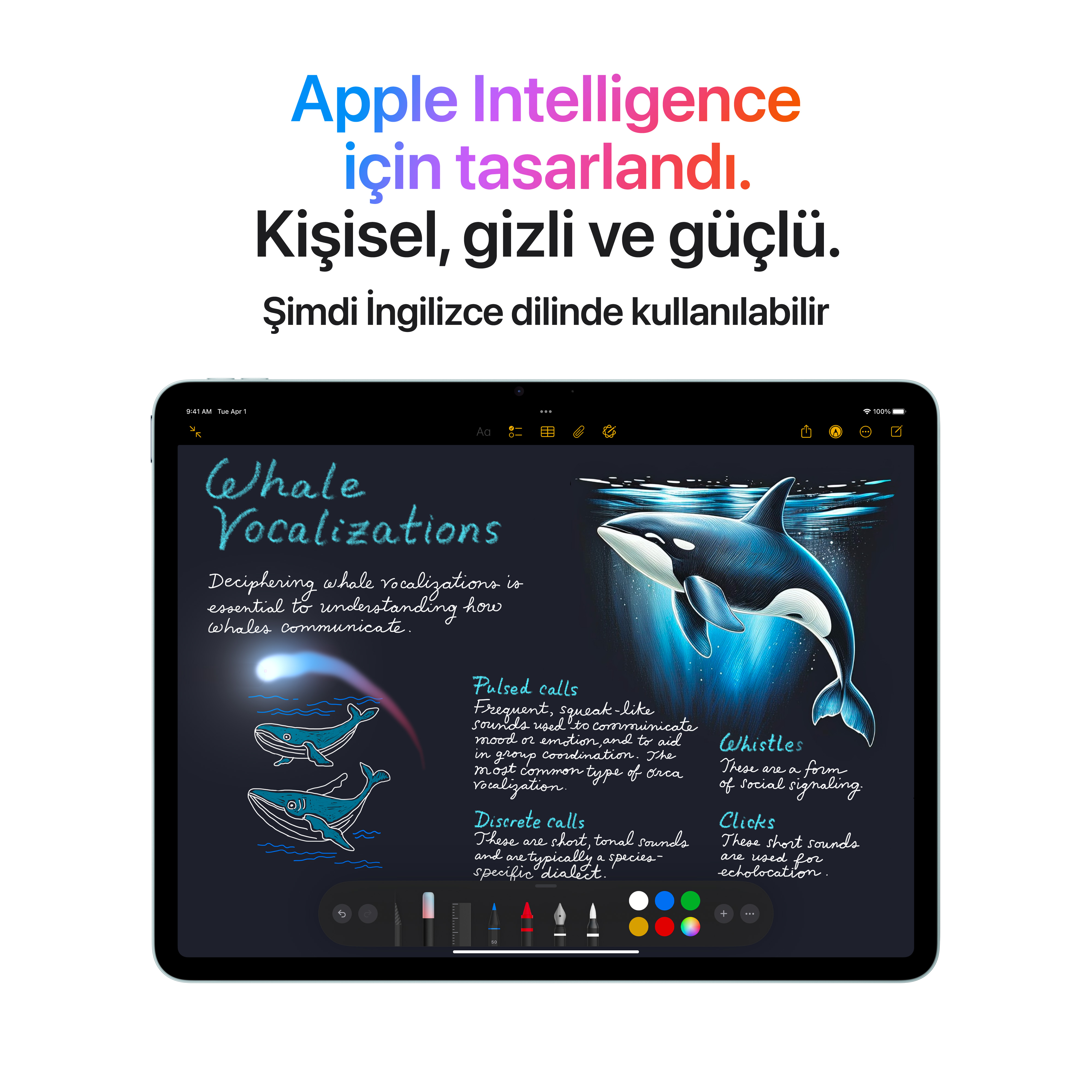 Bir tablet ekranı, bir balina çizimi ve balina sesleri hakkında metin gösteriyor.