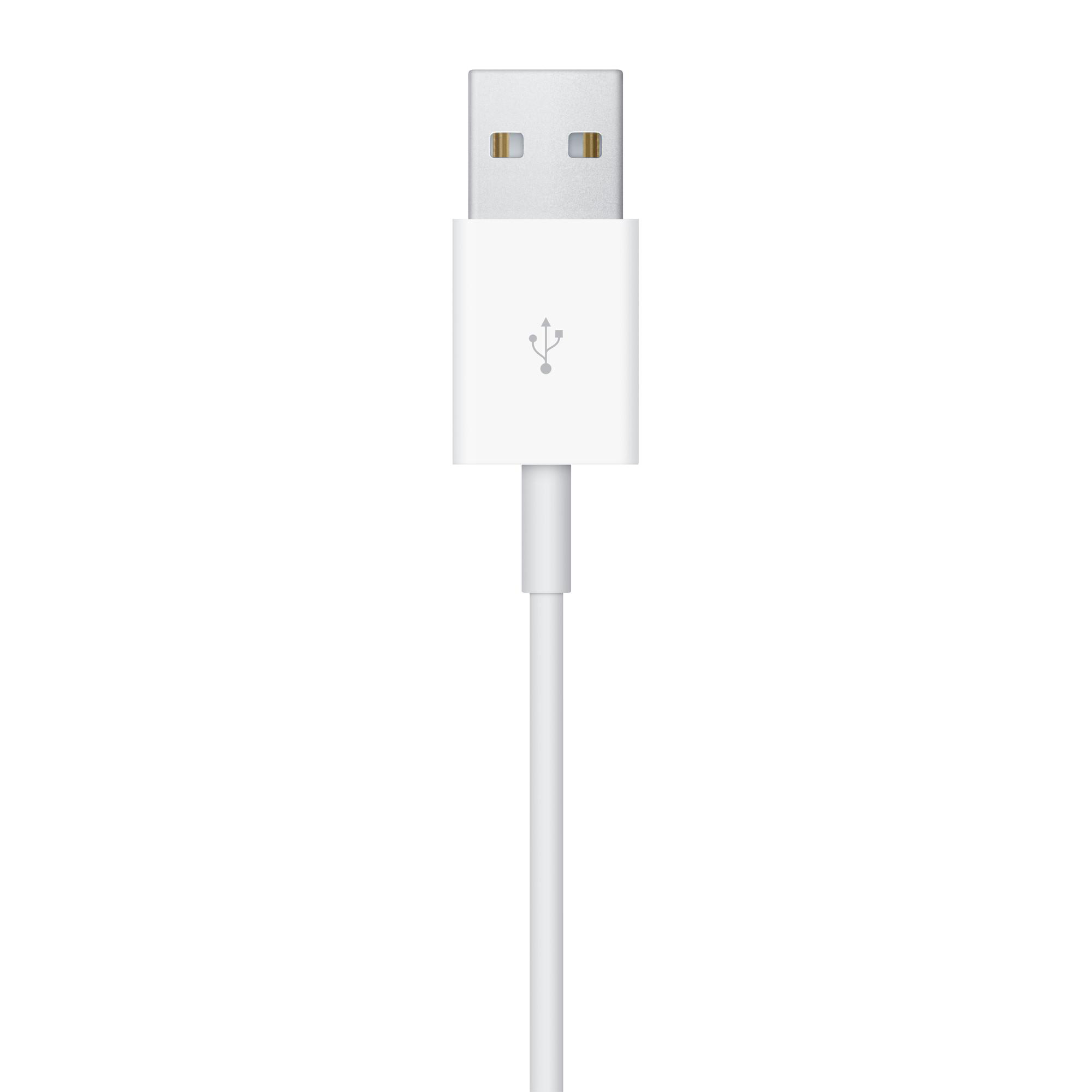 Weißes USB-Kabel mit USB-Anschluss an einem Ende und Lightning-Anschluss am anderen.